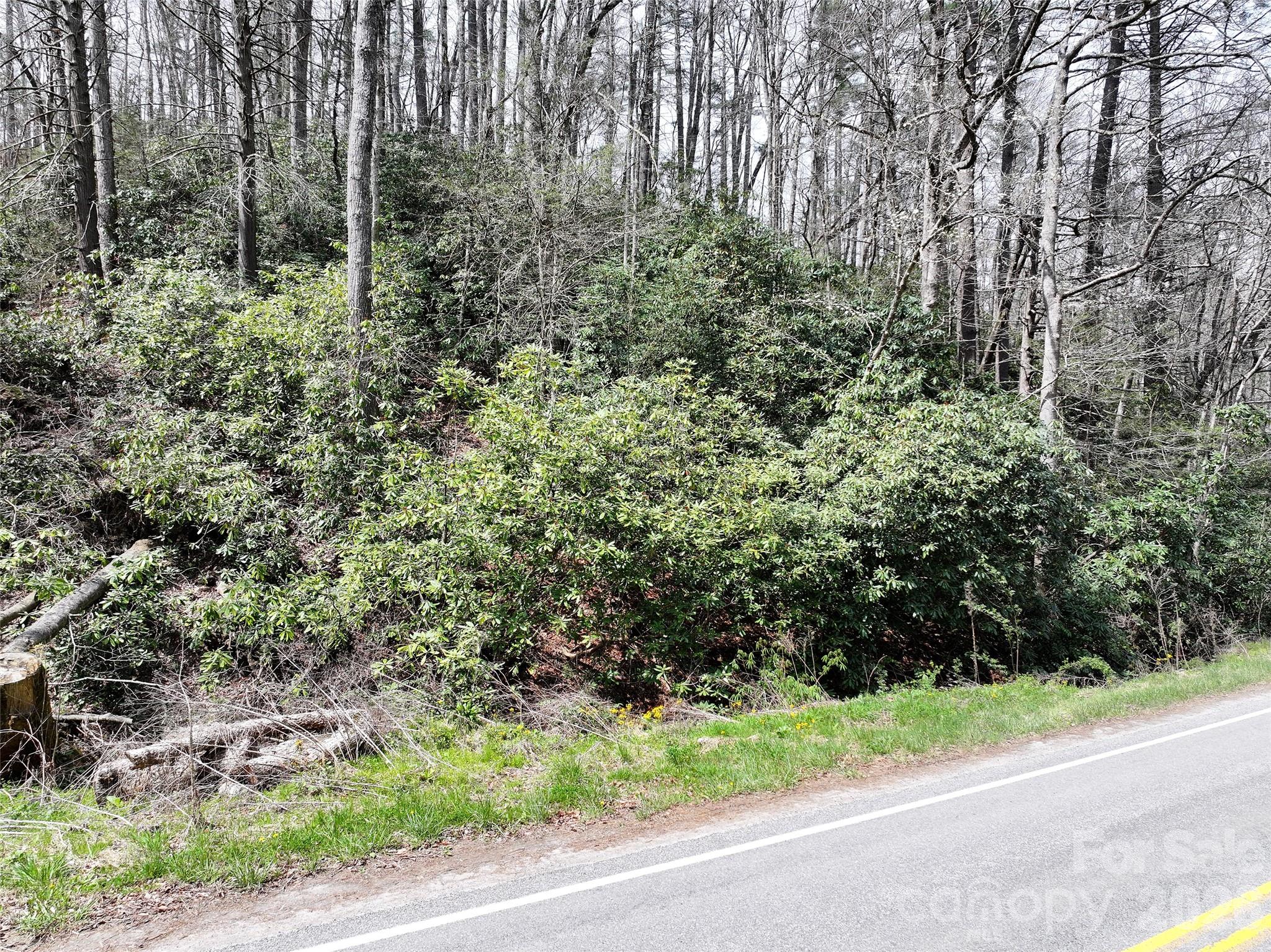 00 White Oak Road Property Photo 5