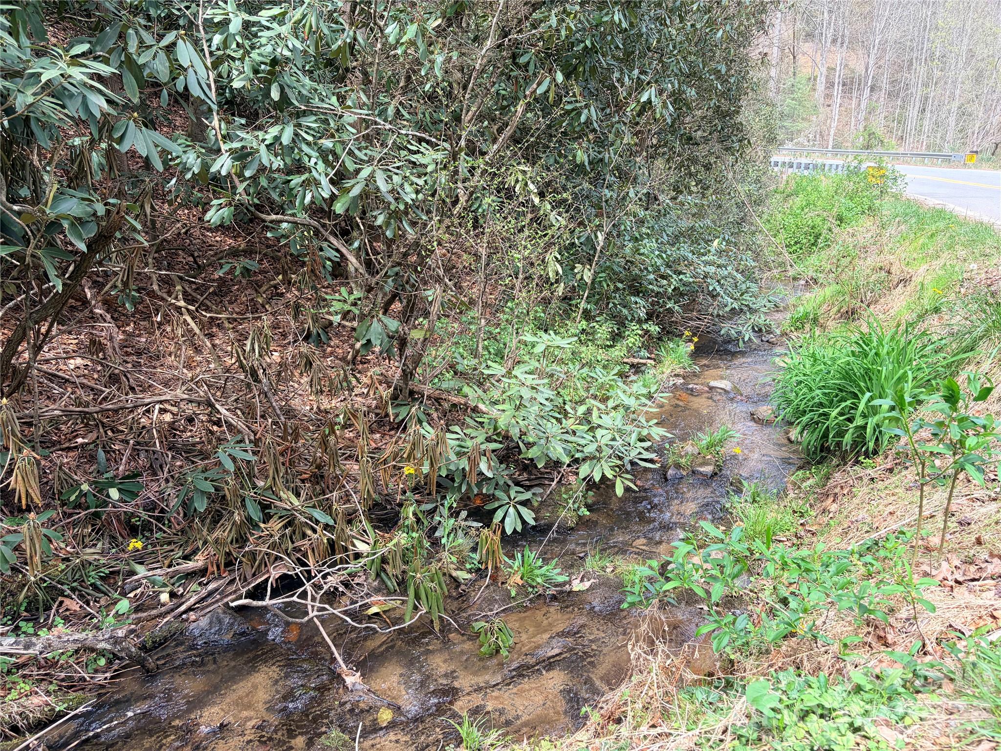 00 White Oak Road Property Photo 6