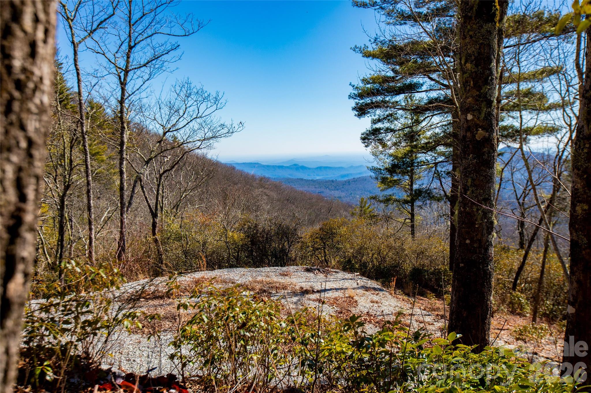Lot 19 W Whitetail Drive Property Photo 1