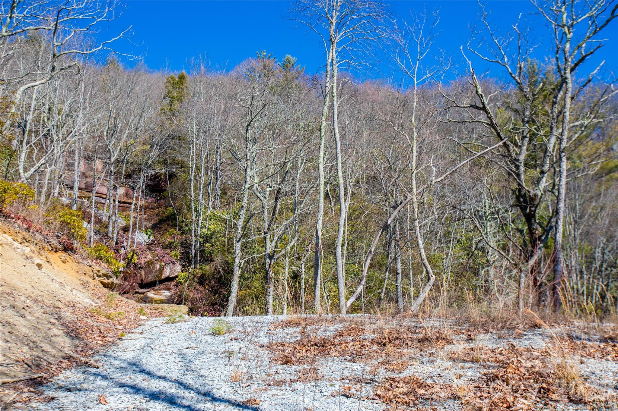 Lot 19 W Whitetail Drive Property Photo 6