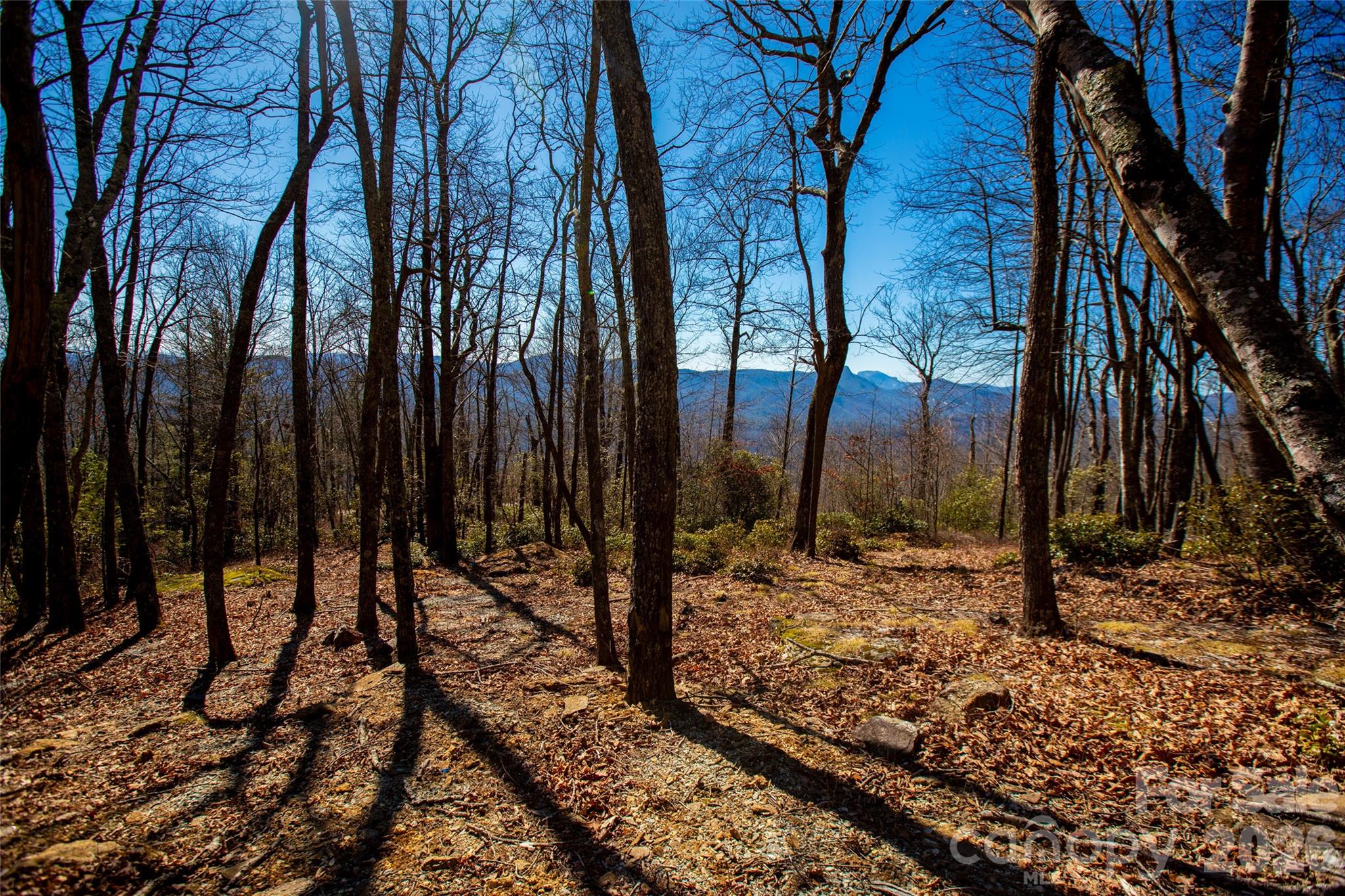 Lot 19 W Whitetail Drive Property Photo 8