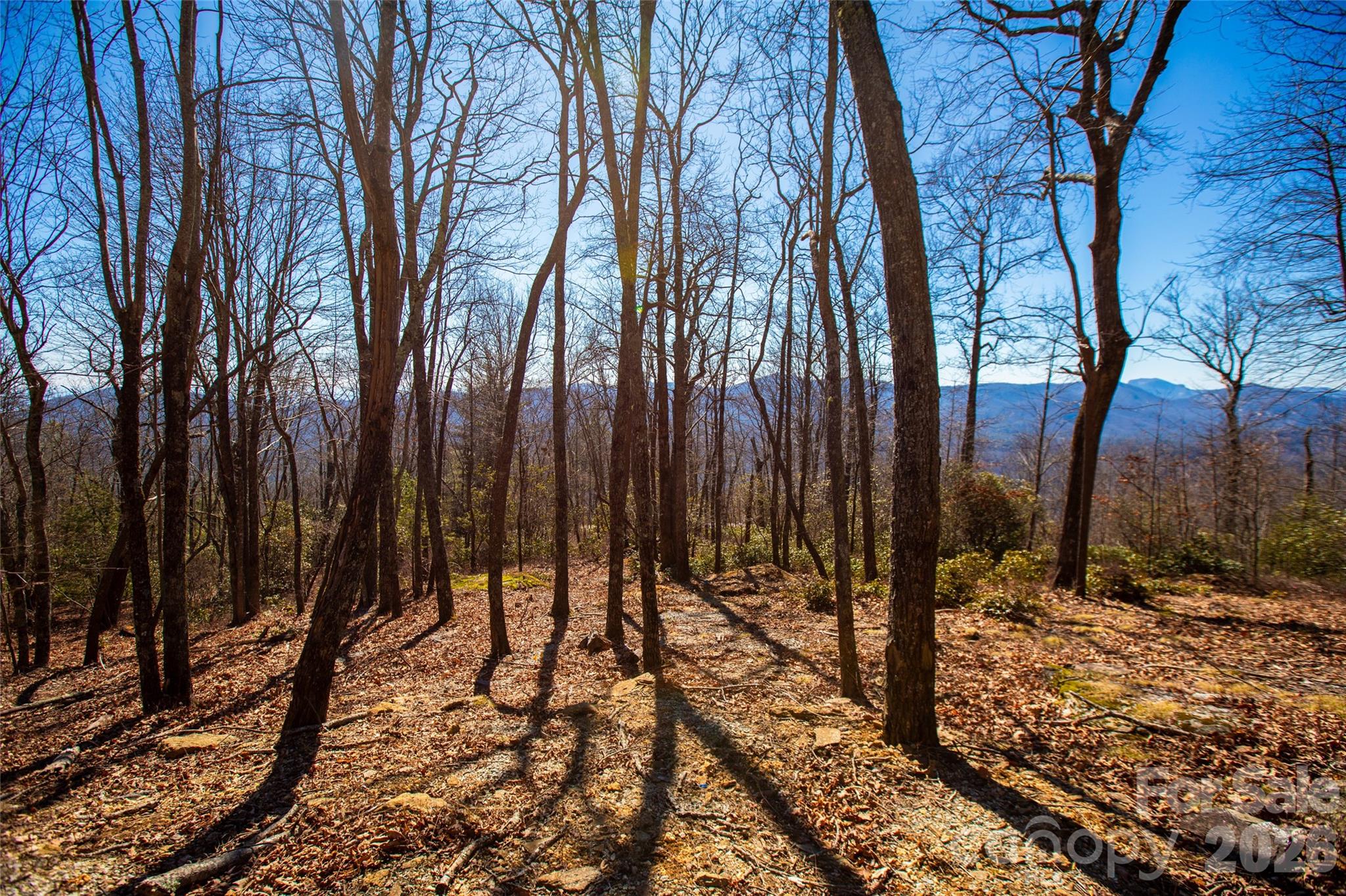 Lot 19 W Whitetail Drive Property Photo 9