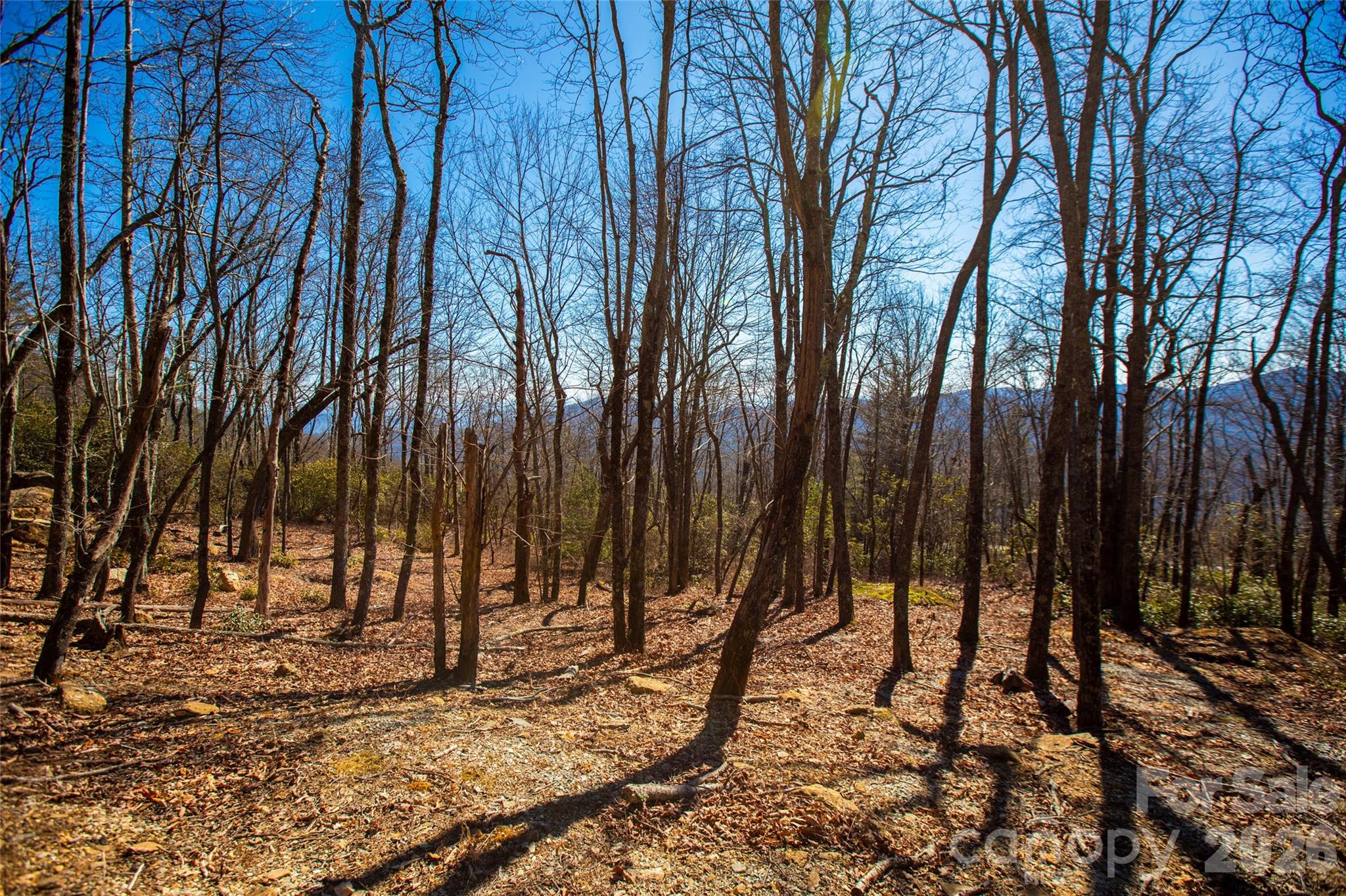 Lot 19 W Whitetail Drive Property Photo 10