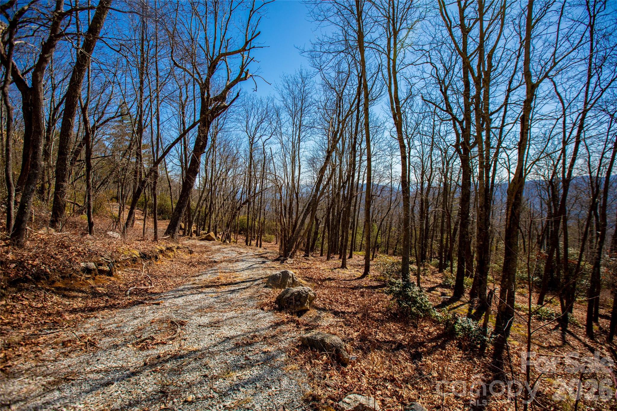 Lot 19 W Whitetail Drive Property Photo 11