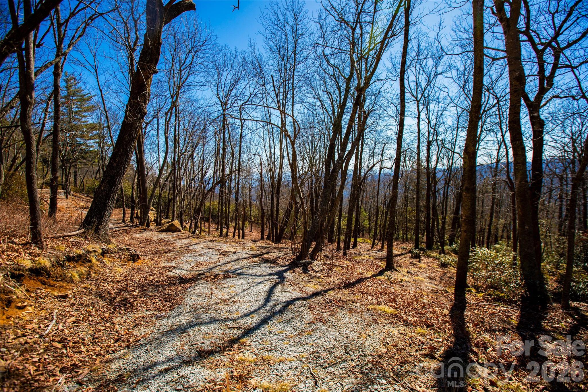 Lot 19 W Whitetail Drive Property Photo 12