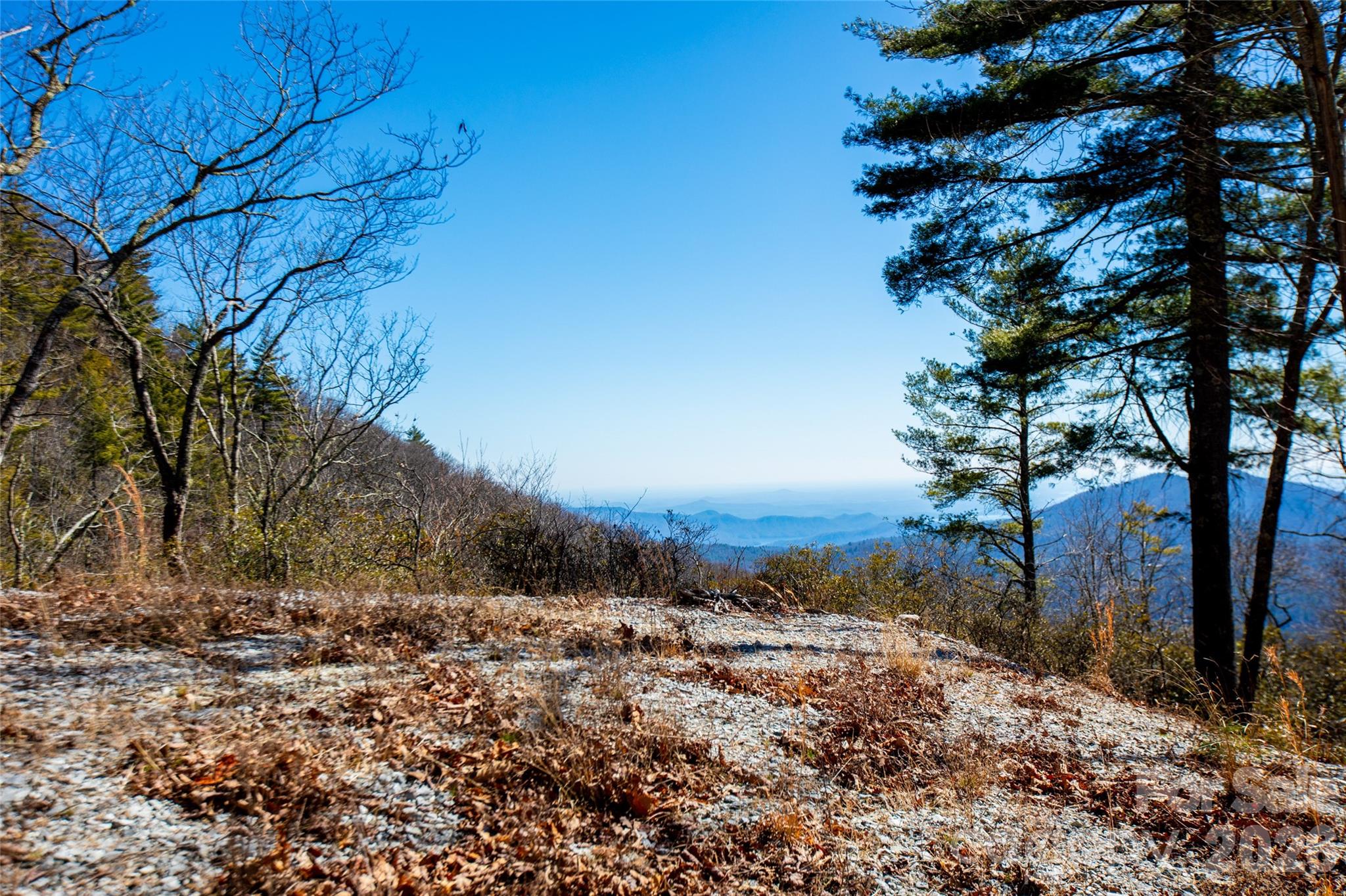 Lot 19 W Whitetail Drive Property Photo 13