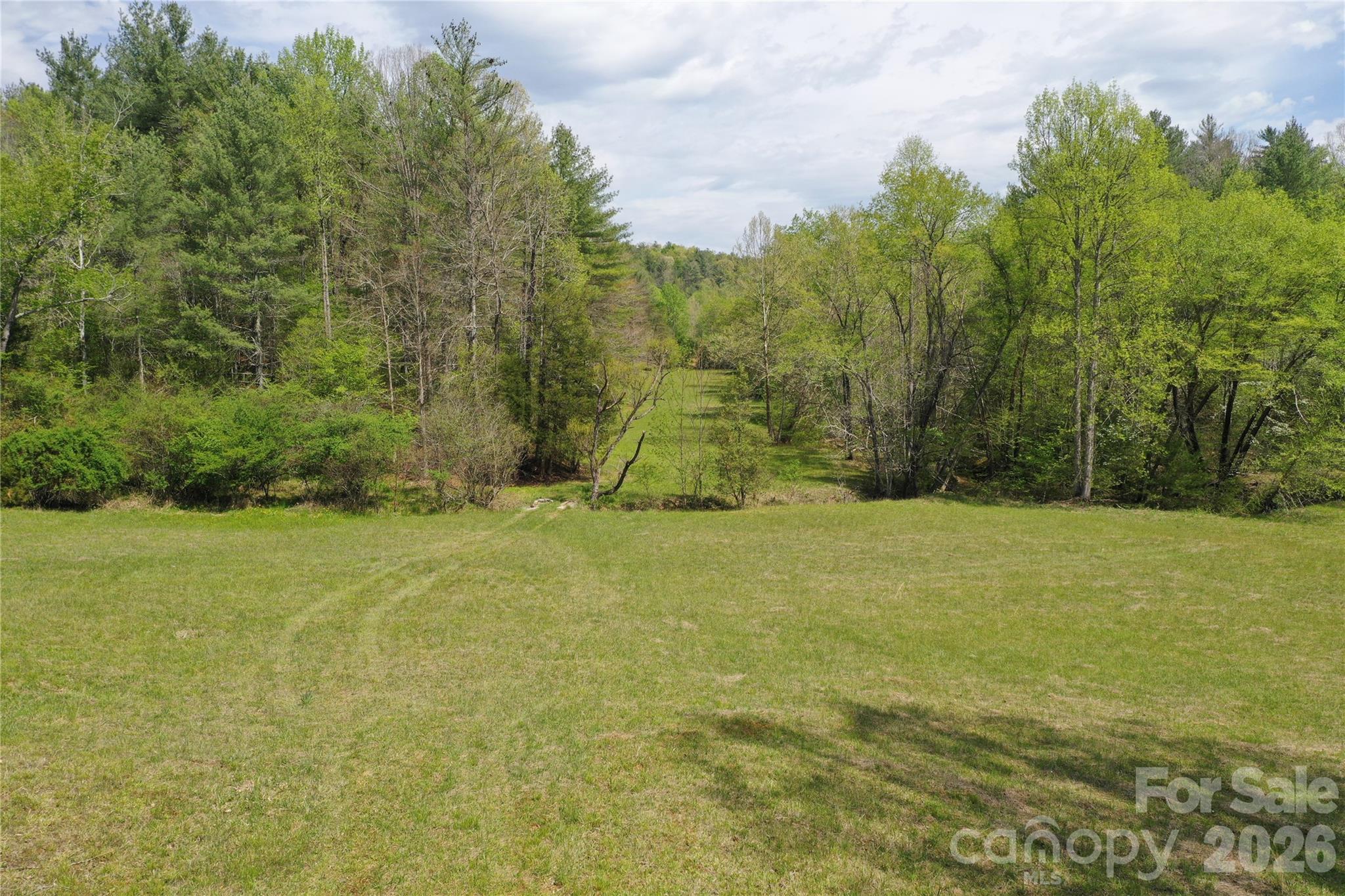 4017 Piney Road Property Photo 2