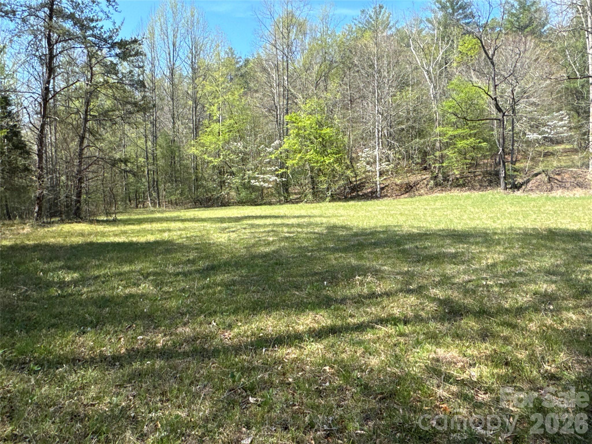 4017 Piney Road Property Photo 4