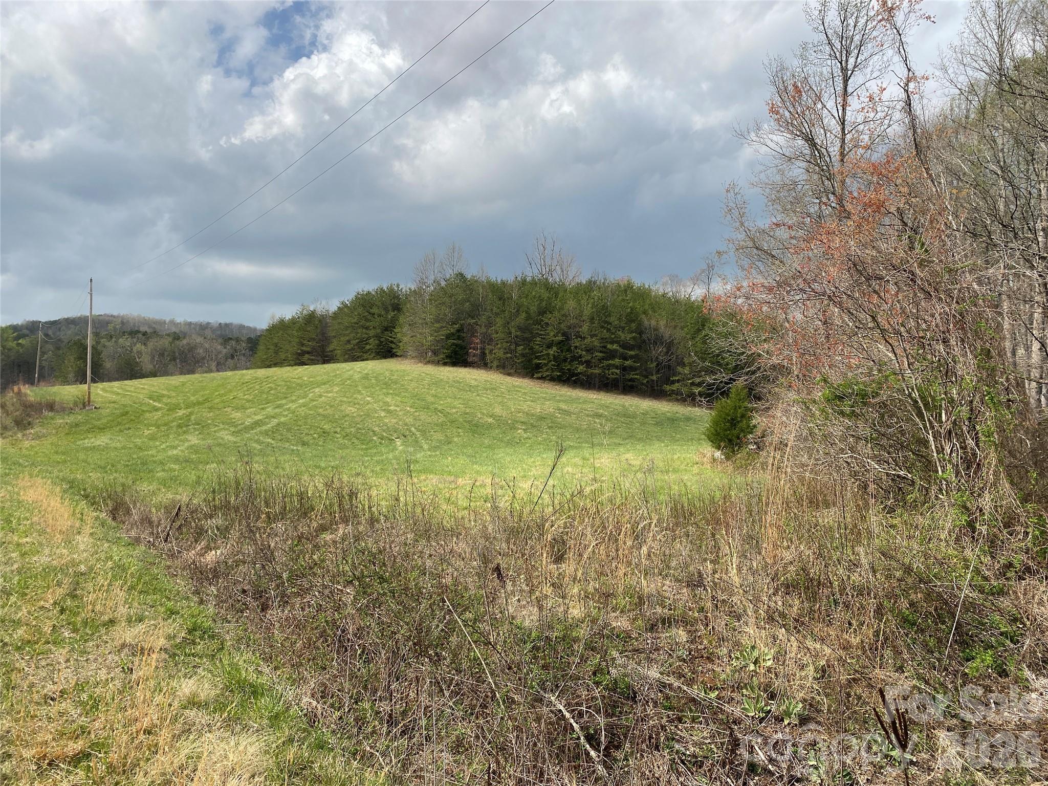 4017 Piney Road Property Photo 7