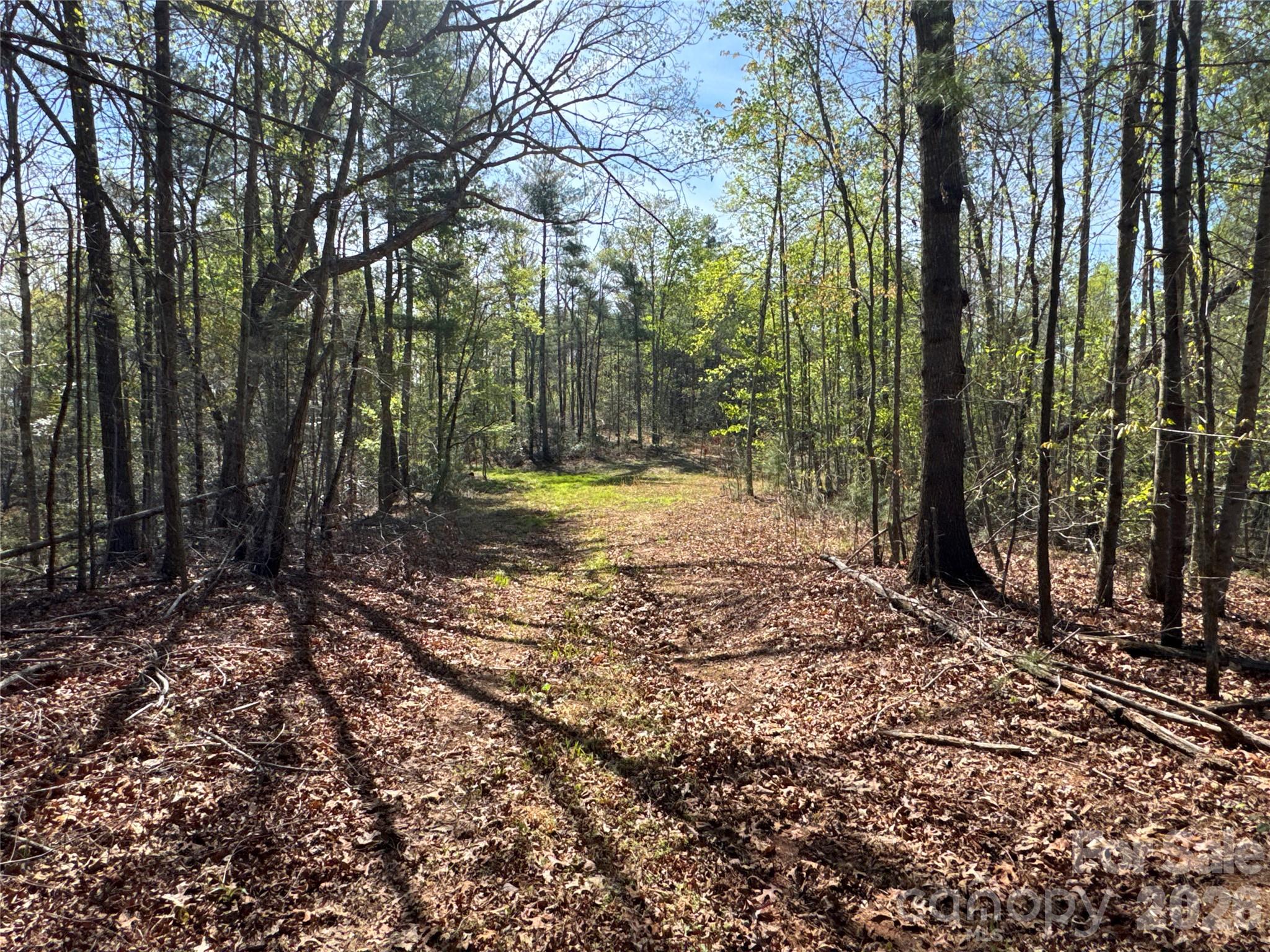 4017 Piney Road Property Photo 10
