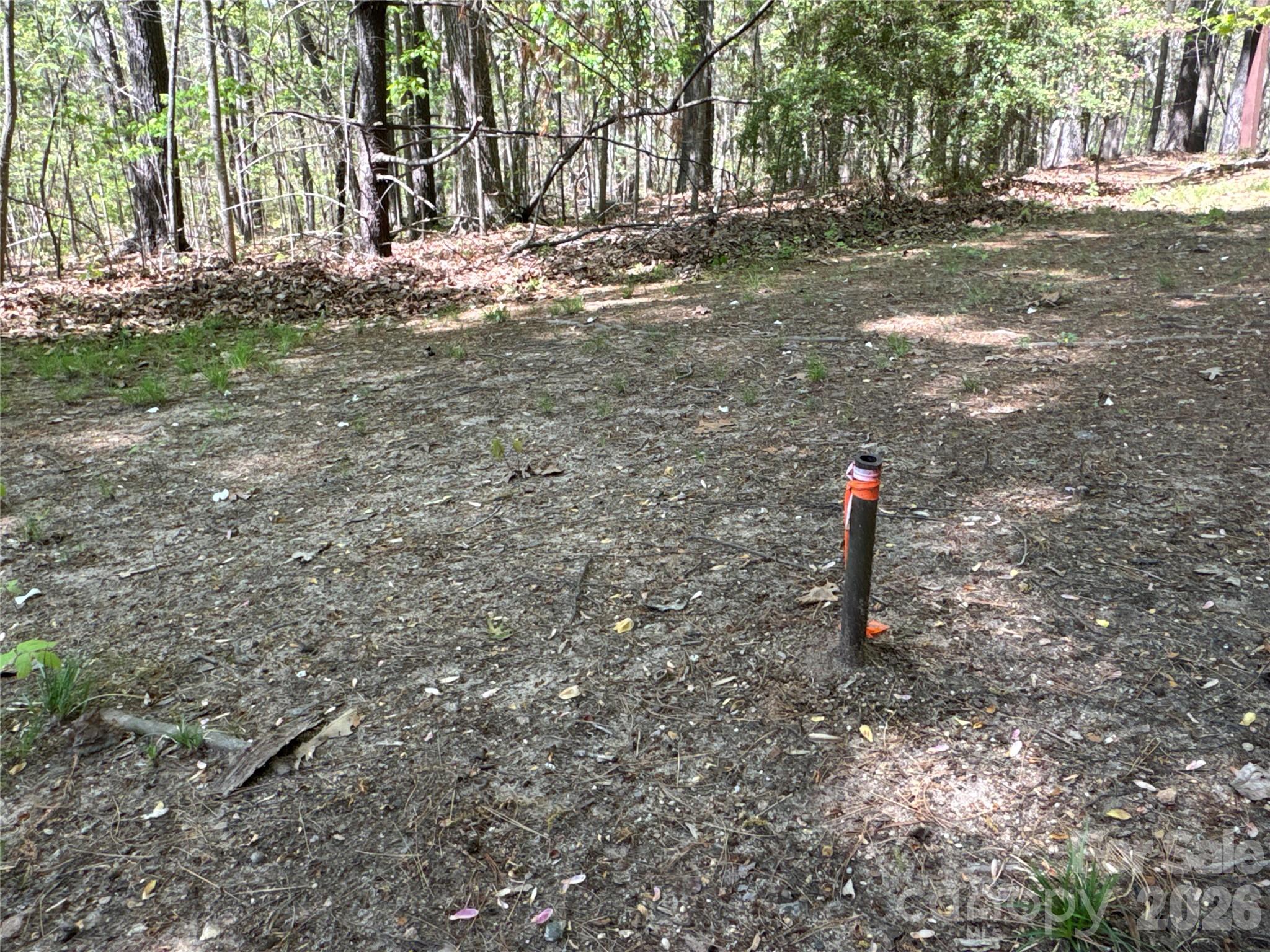 4017 Piney Road Property Photo 11