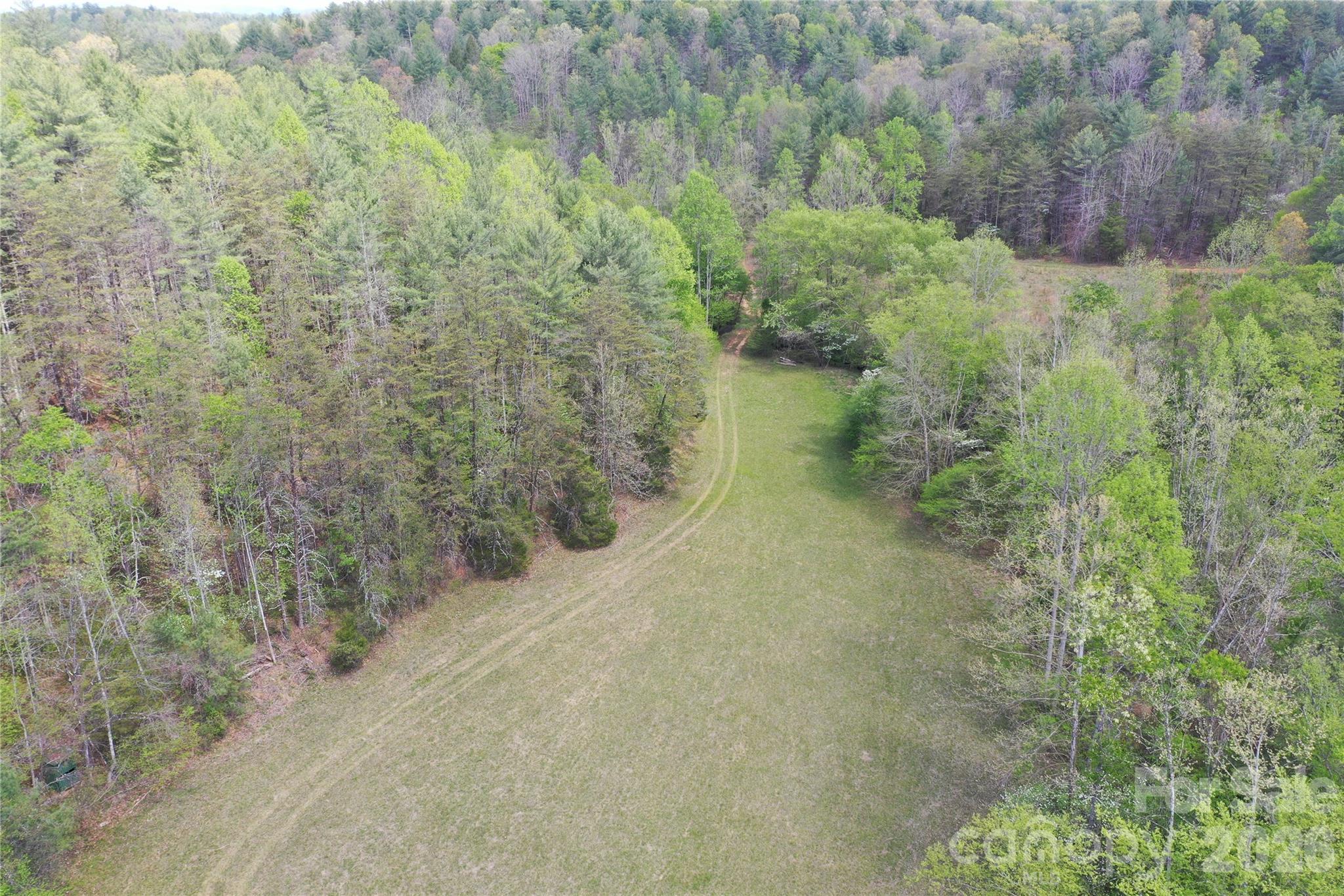 4017 Piney Road Property Photo 14