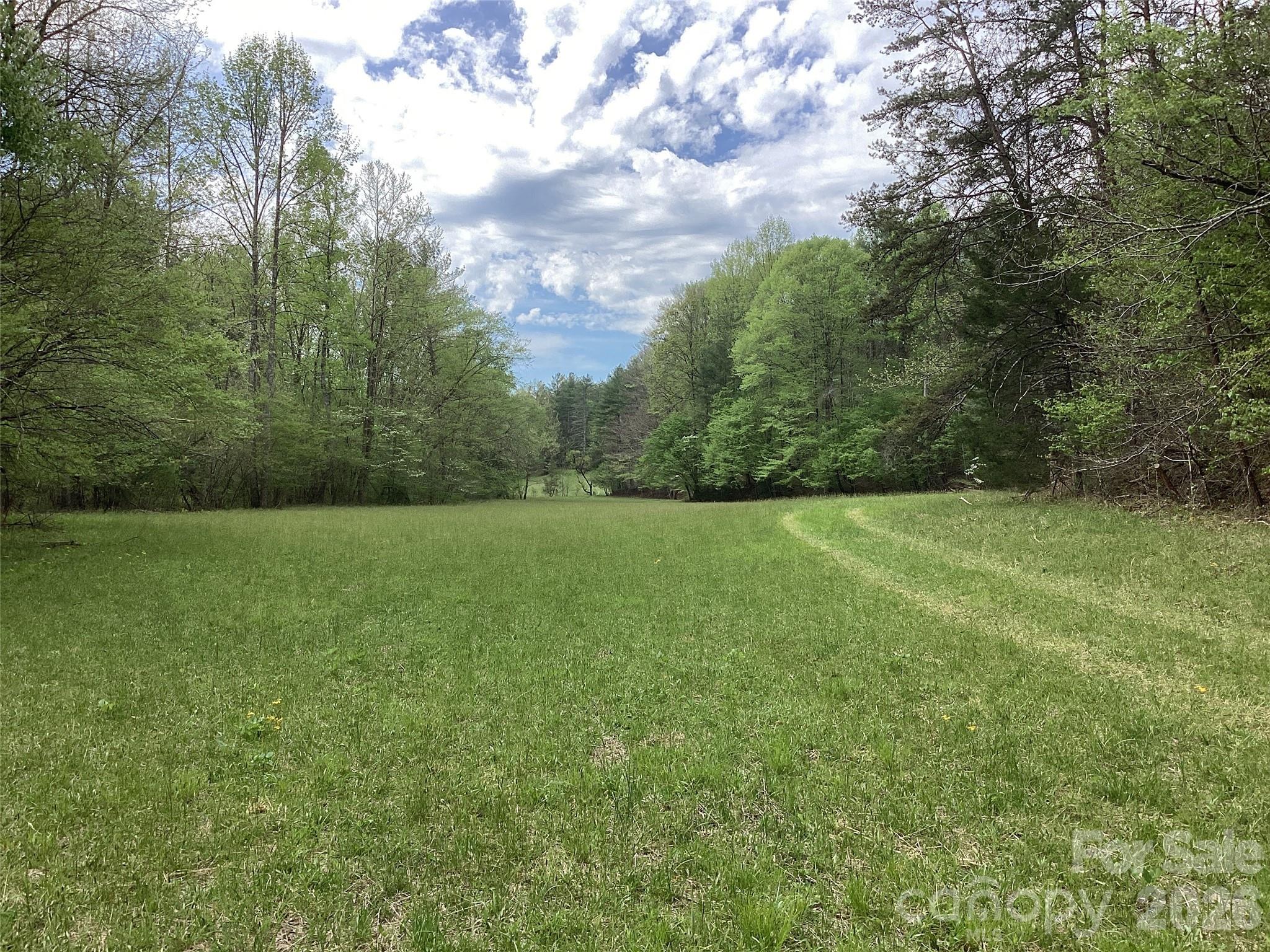 4017 Piney Road Property Photo 16