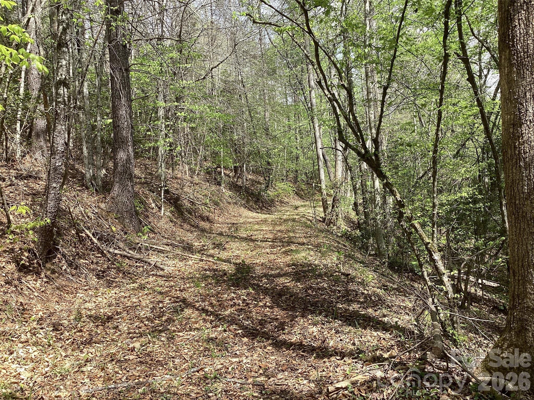 4017 Piney Road Property Photo 17