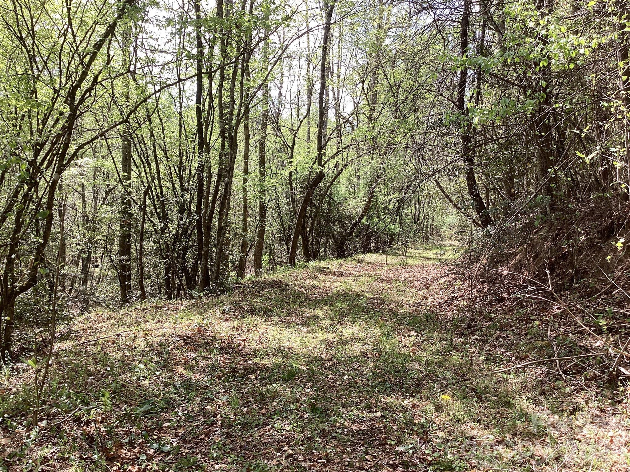 4017 Piney Road Property Photo 18