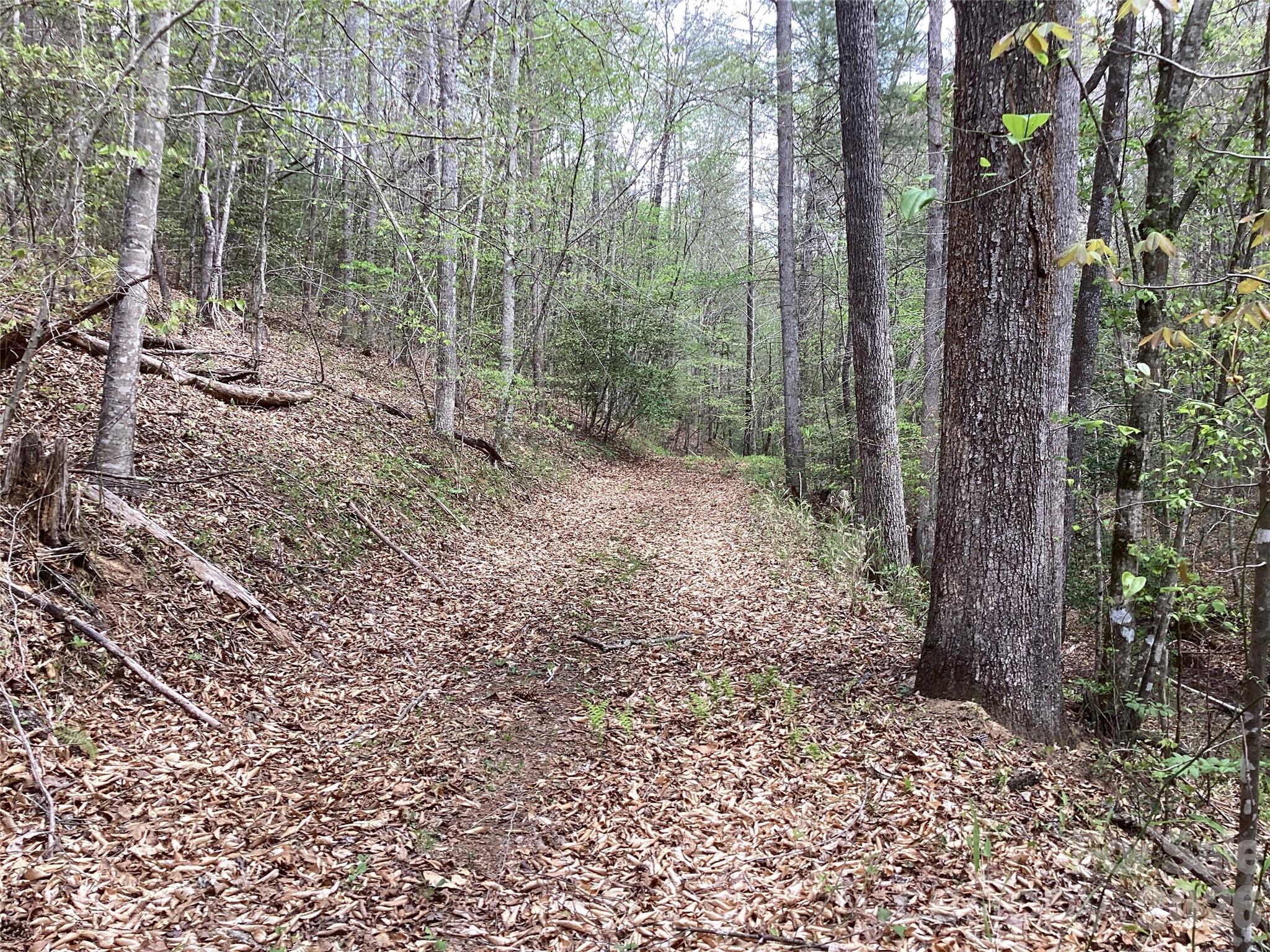 4017 Piney Road Property Photo 19