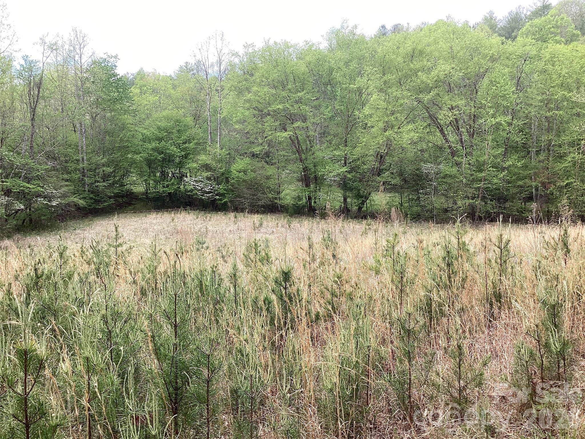 4017 Piney Road Property Photo 21