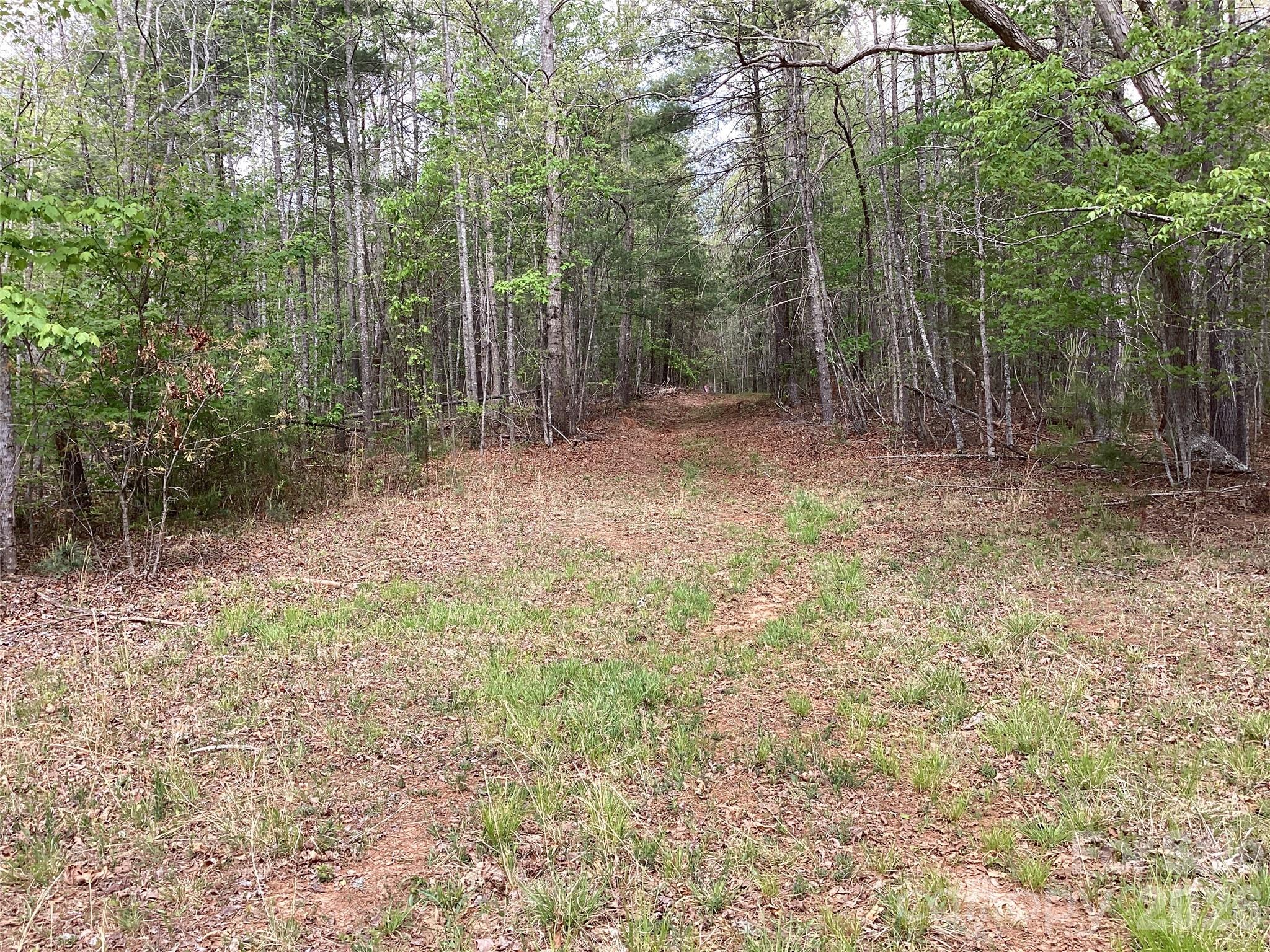 4017 Piney Road Property Photo 22