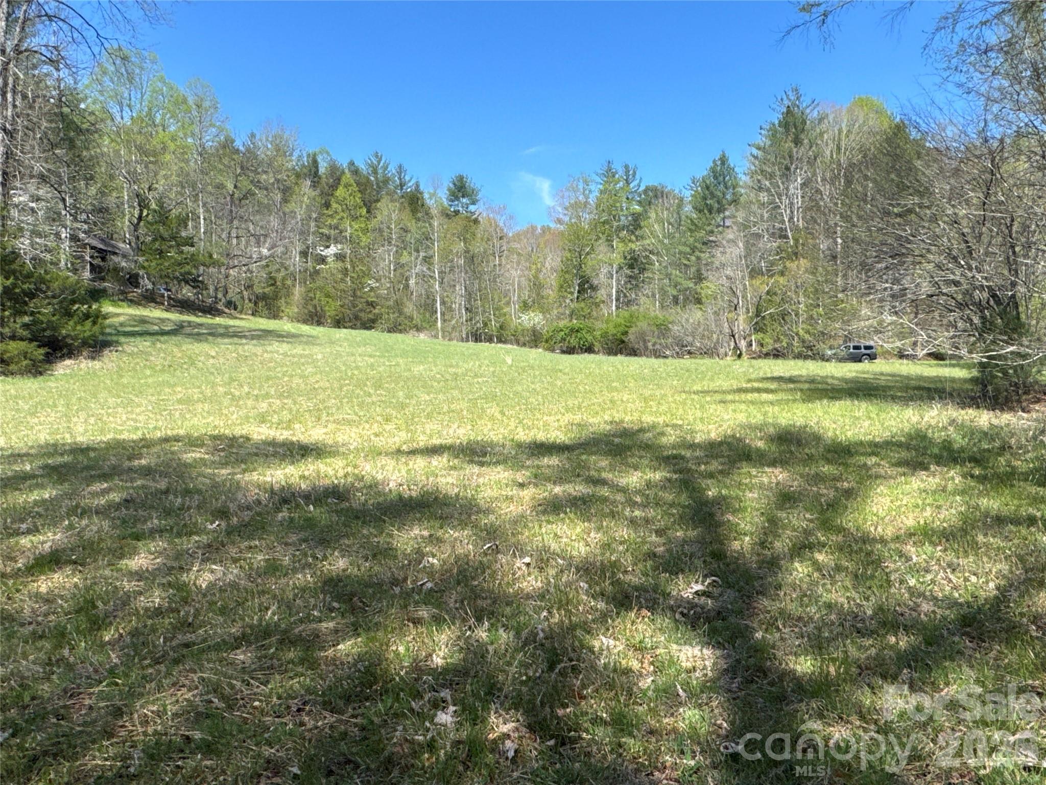 4017 Piney Road Property Photo 24