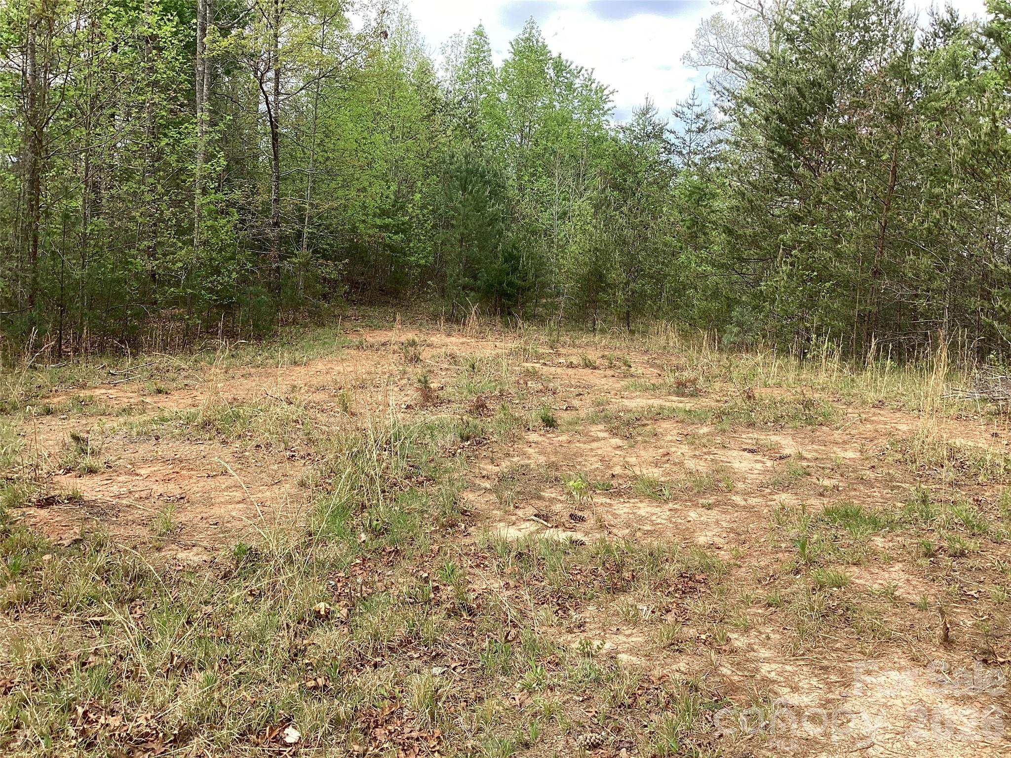 4017 Piney Road Property Photo 27