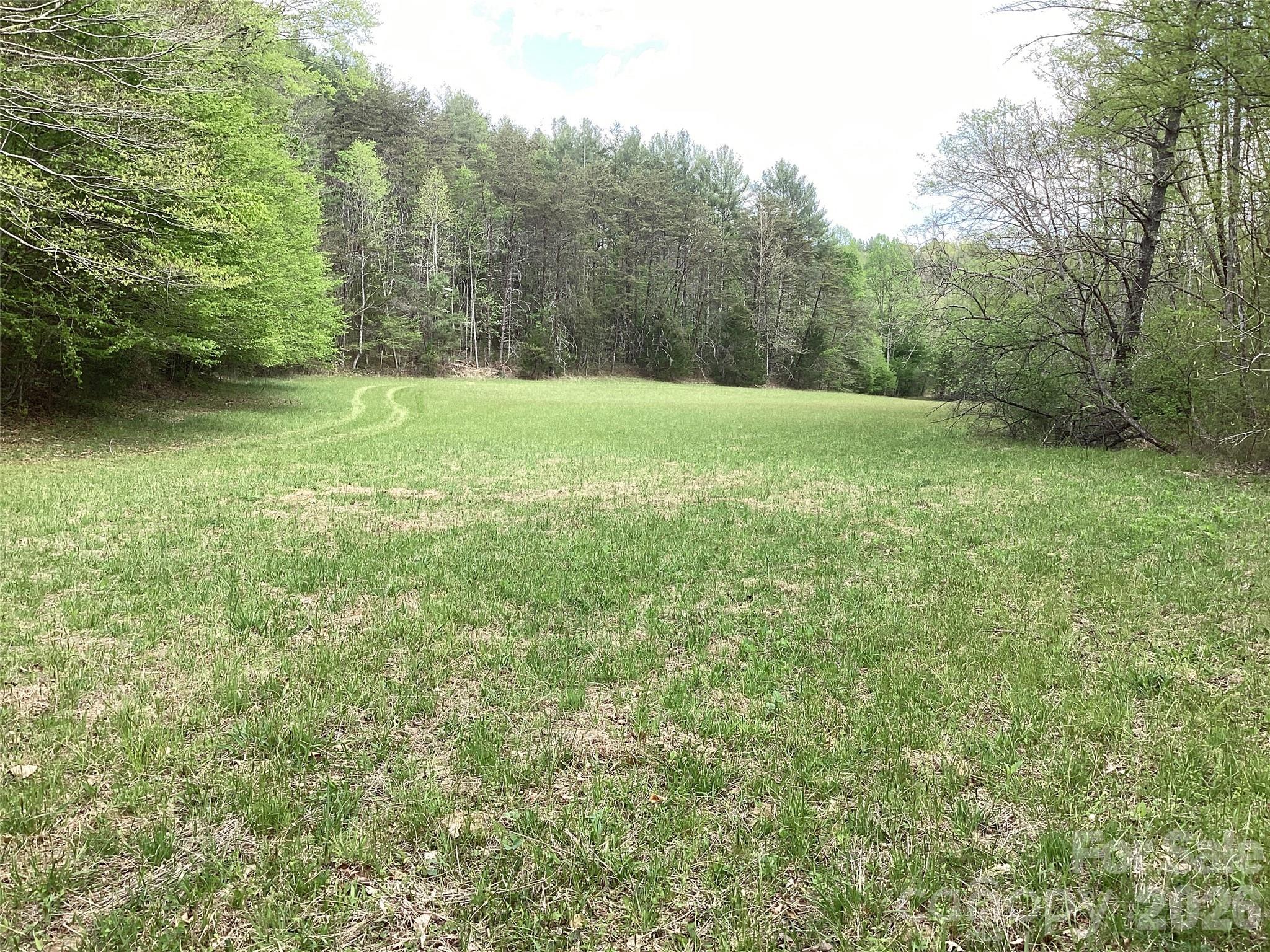 4017 Piney Road Property Photo 29