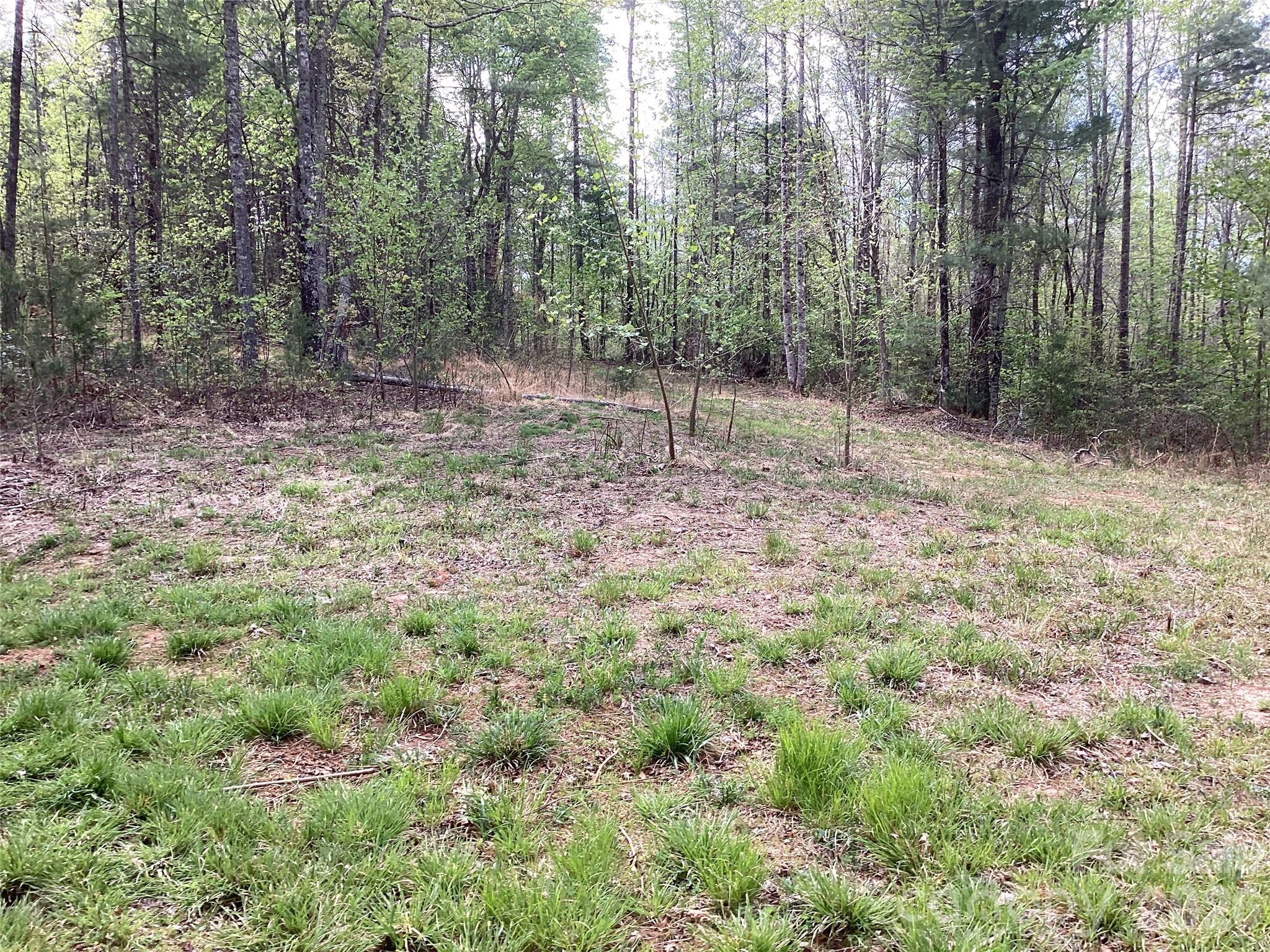 4017 Piney Road Property Photo 30