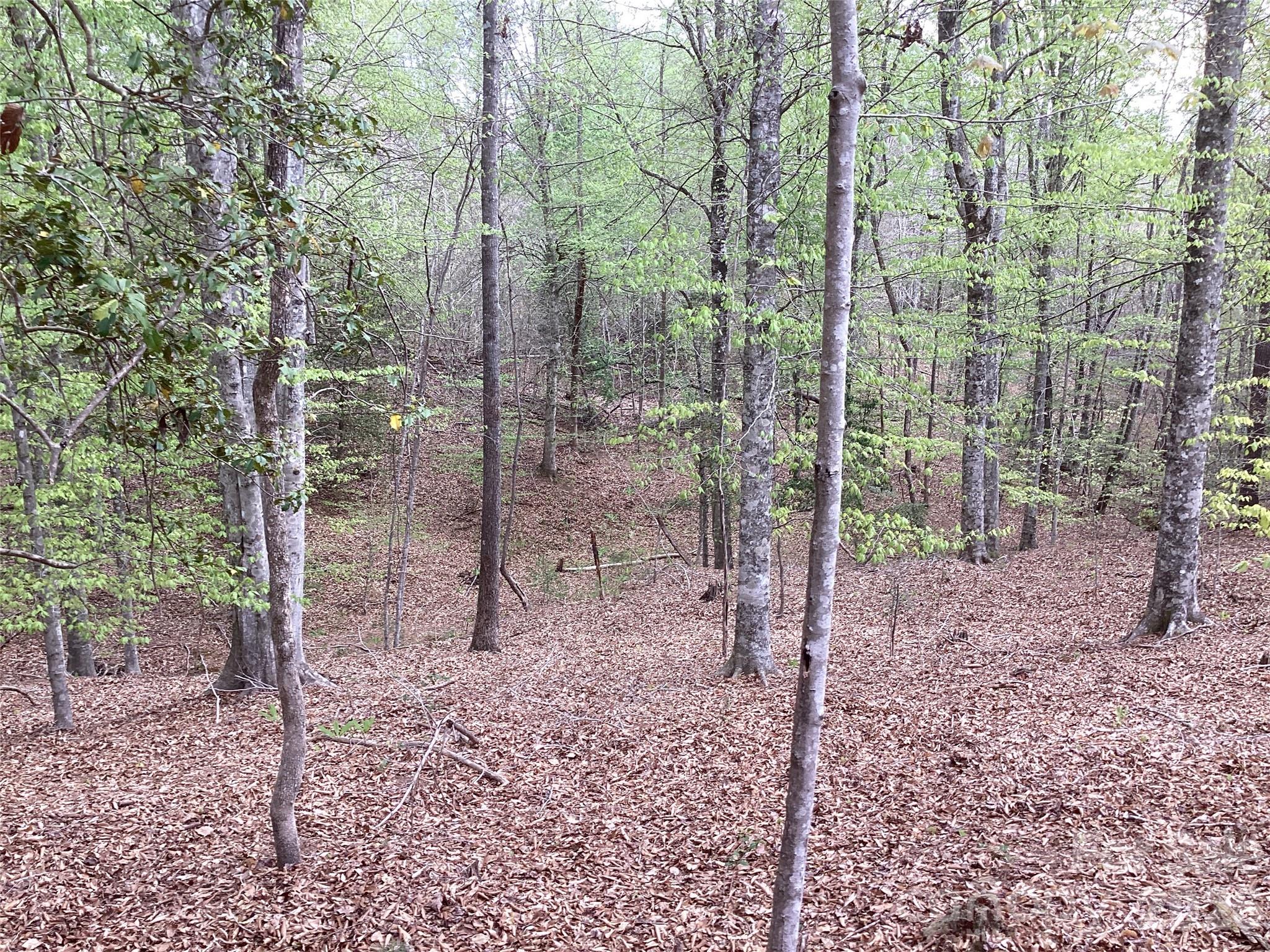 4017 Piney Road Property Photo 31