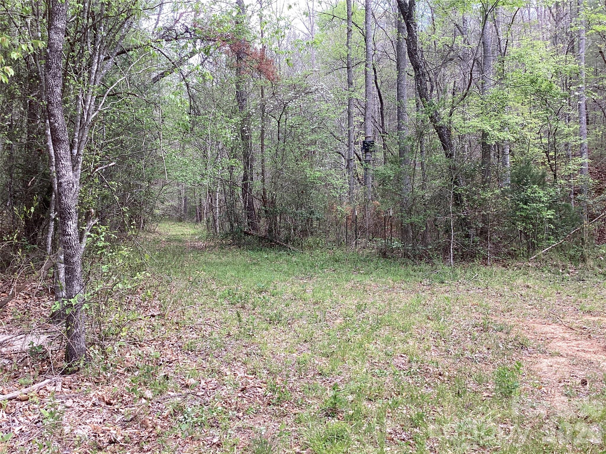 4017 Piney Road Property Photo 32