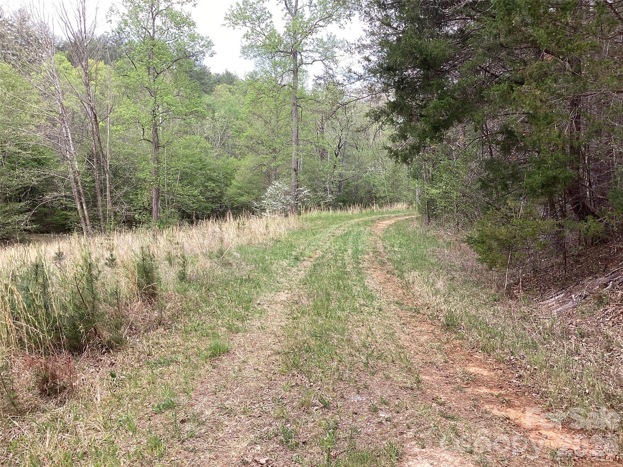 4017 Piney Road Property Photo 33