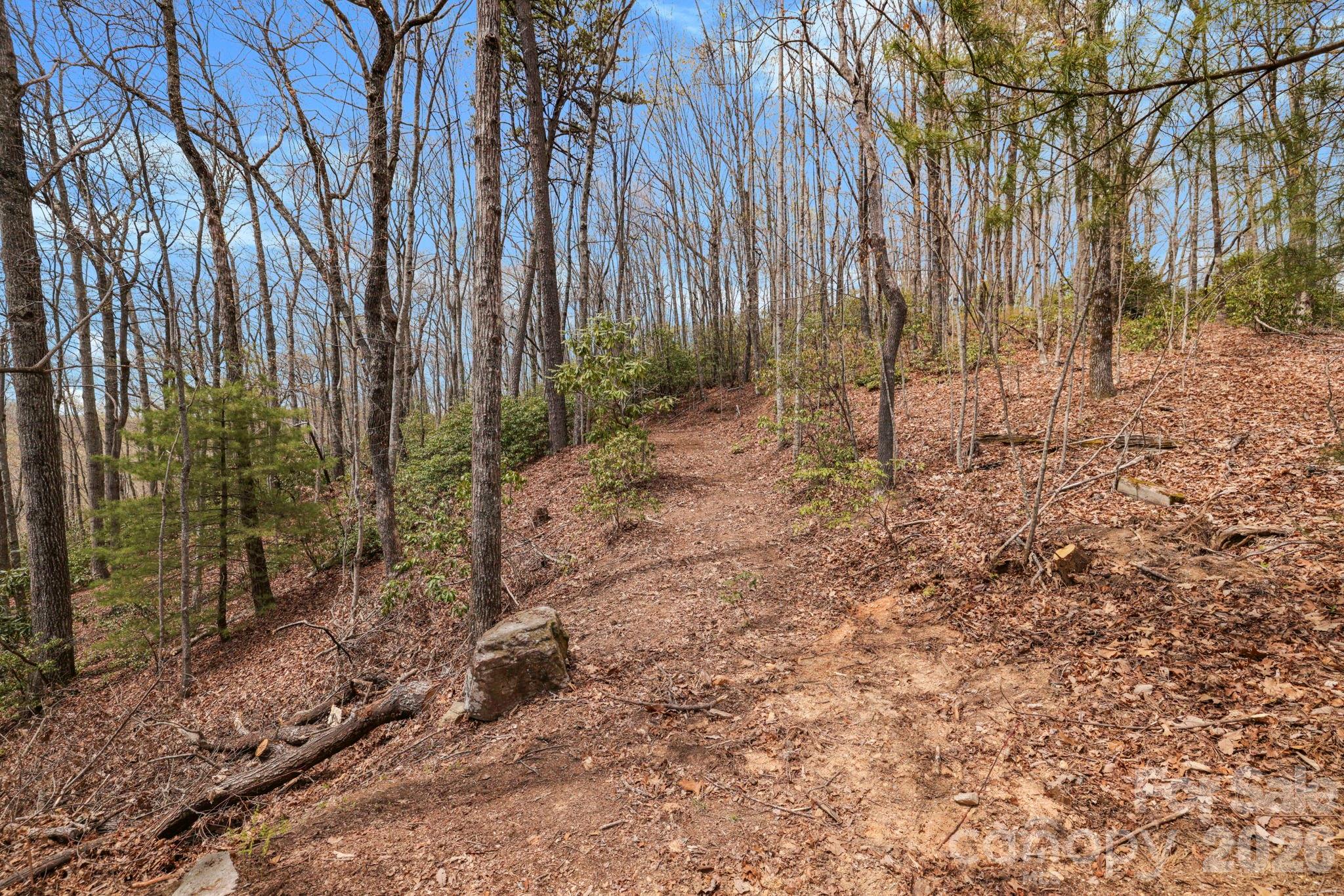 305 Stamey Creek Road Property Photo 21