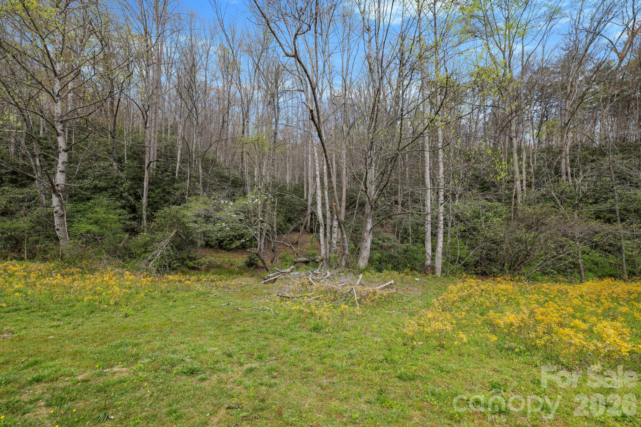 305 Stamey Creek Road Property Photo 23