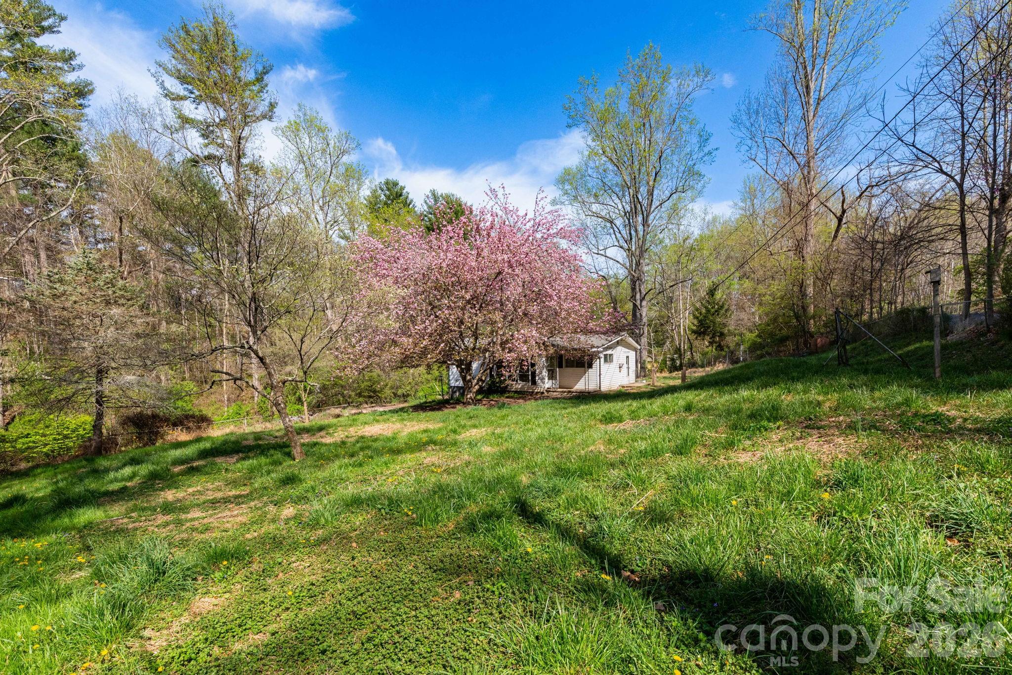 135 Sardis Drive Property Photo 14