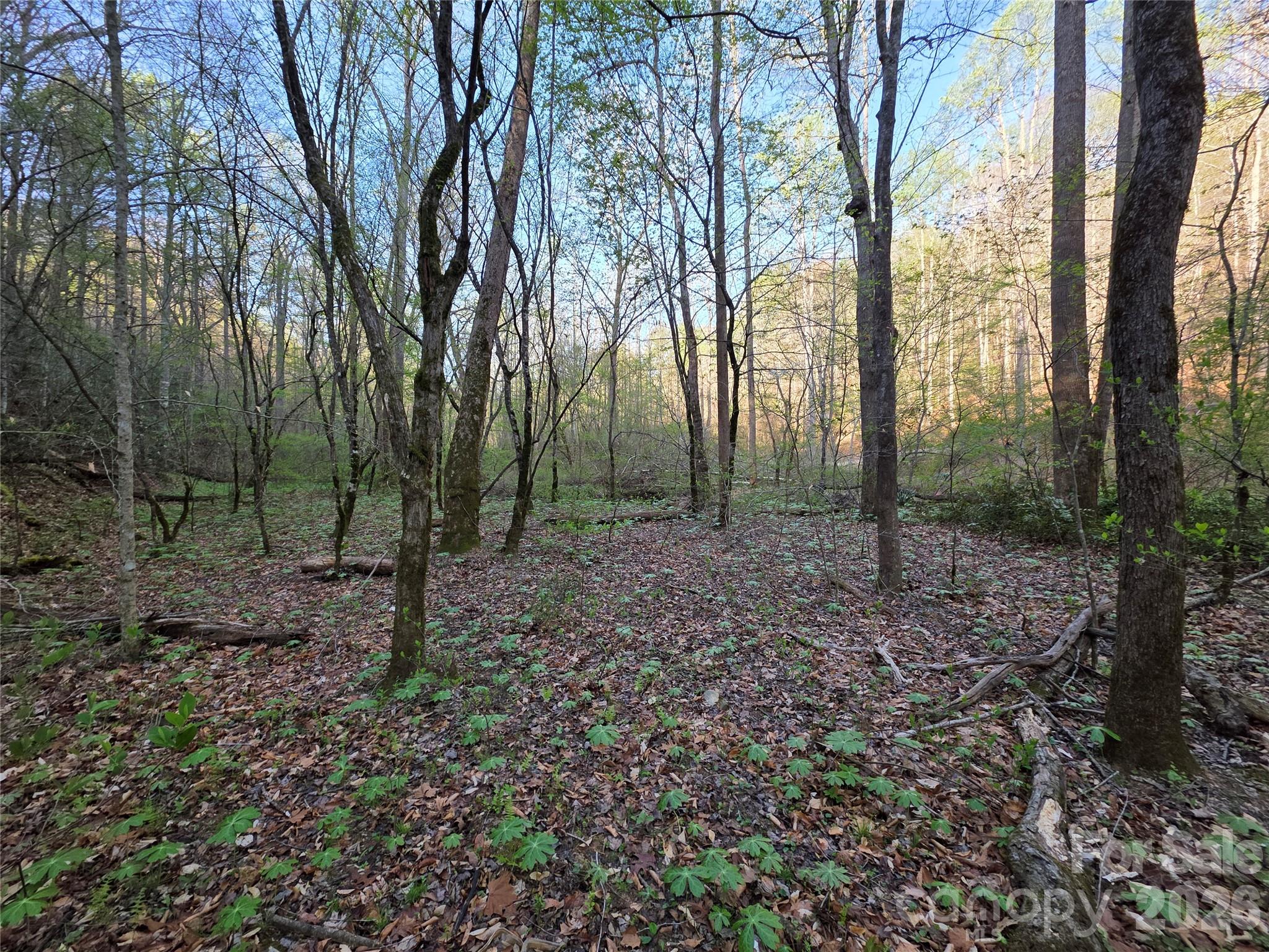 00 Mountain Creek Way Property Photo 1