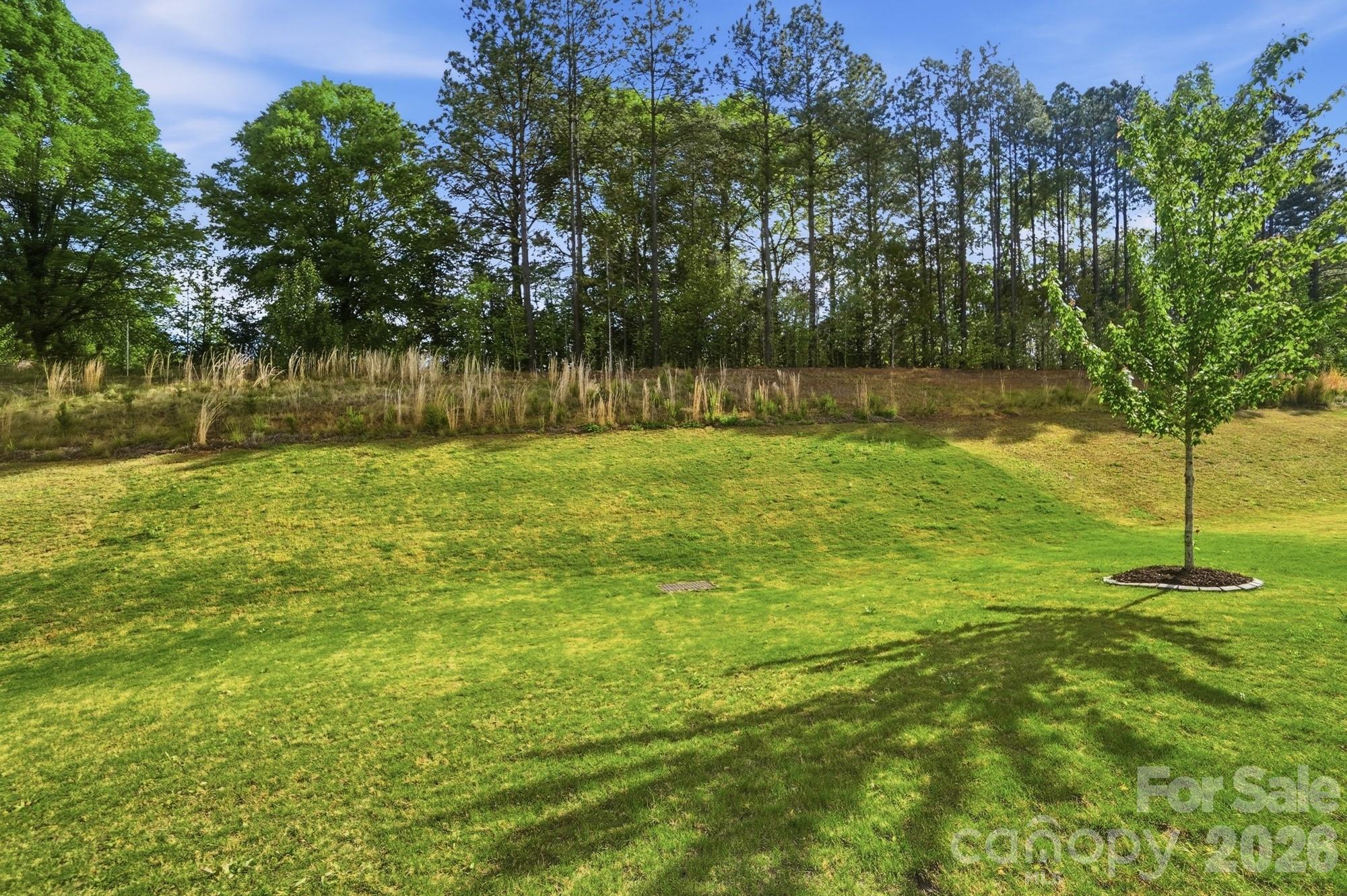 116 Timbergreen Court Property Photo 43
