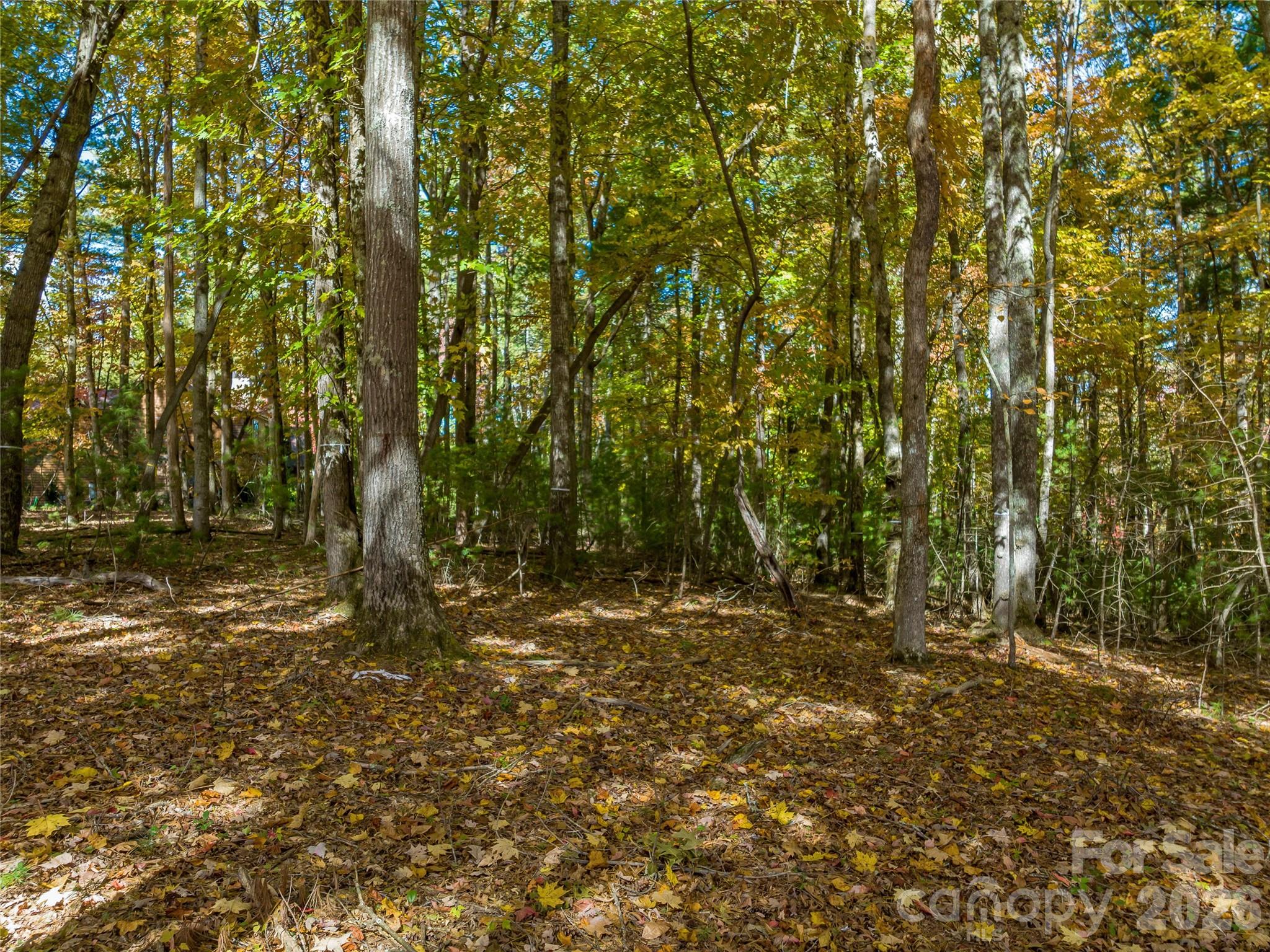 75 Emerald Necklace Drive 411 Property Photo 16