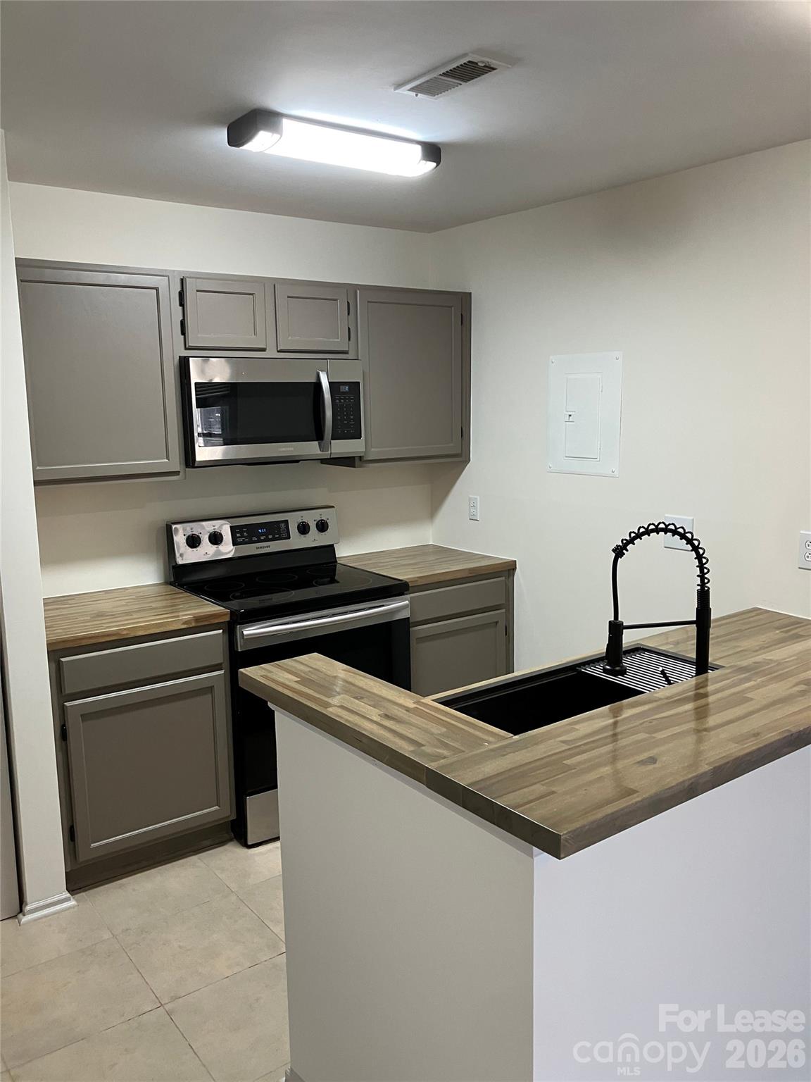 18809 Vineyard Point Lane Property Photo 4