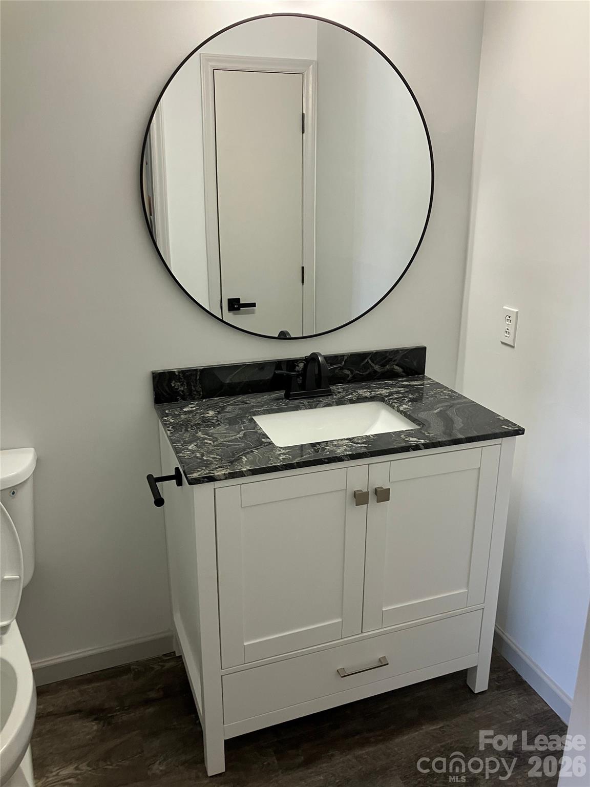 18809 Vineyard Point Lane Property Photo 9