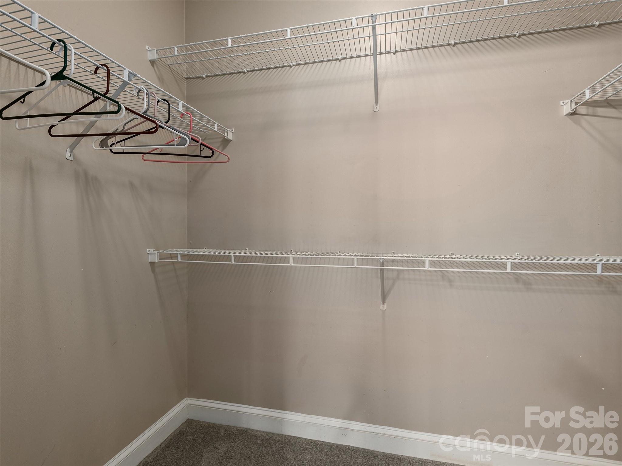 103 Glenview Lane 5048 Property Photo 21