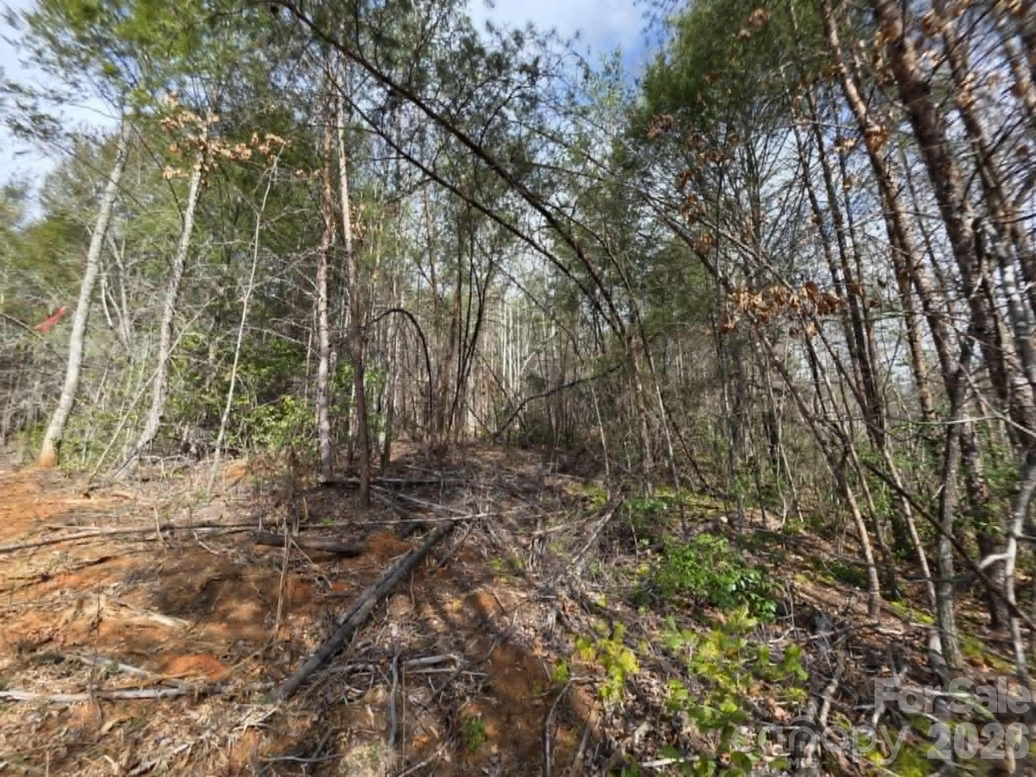 Lot 7 Kerlee Lane Property Photo 1