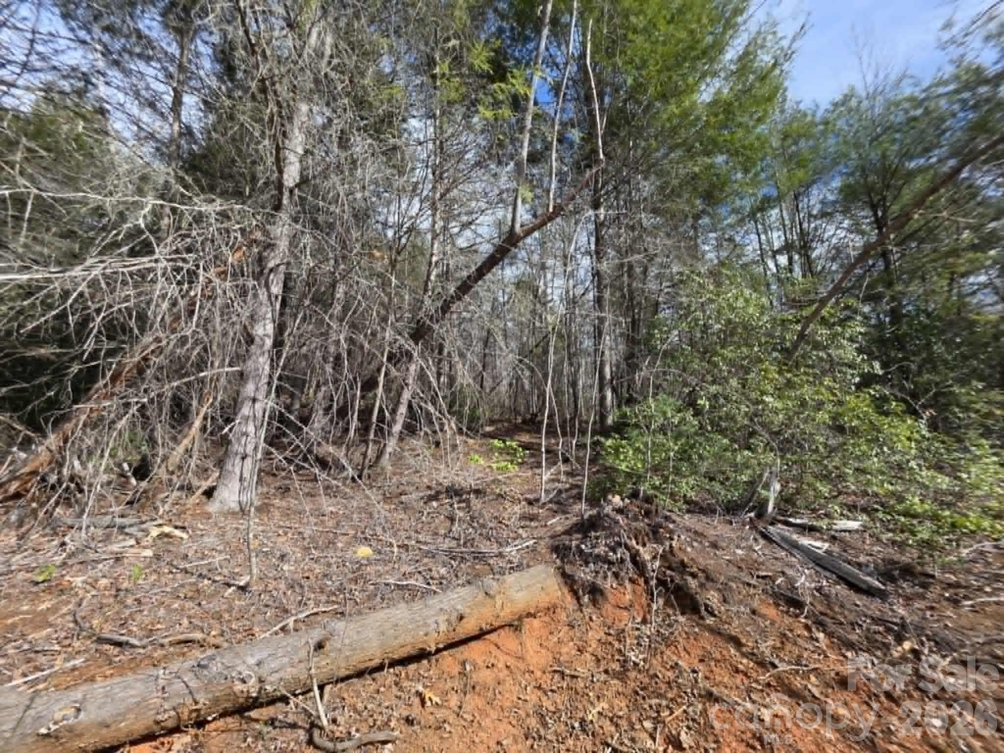 Lot 7 Kerlee Lane Property Photo 2