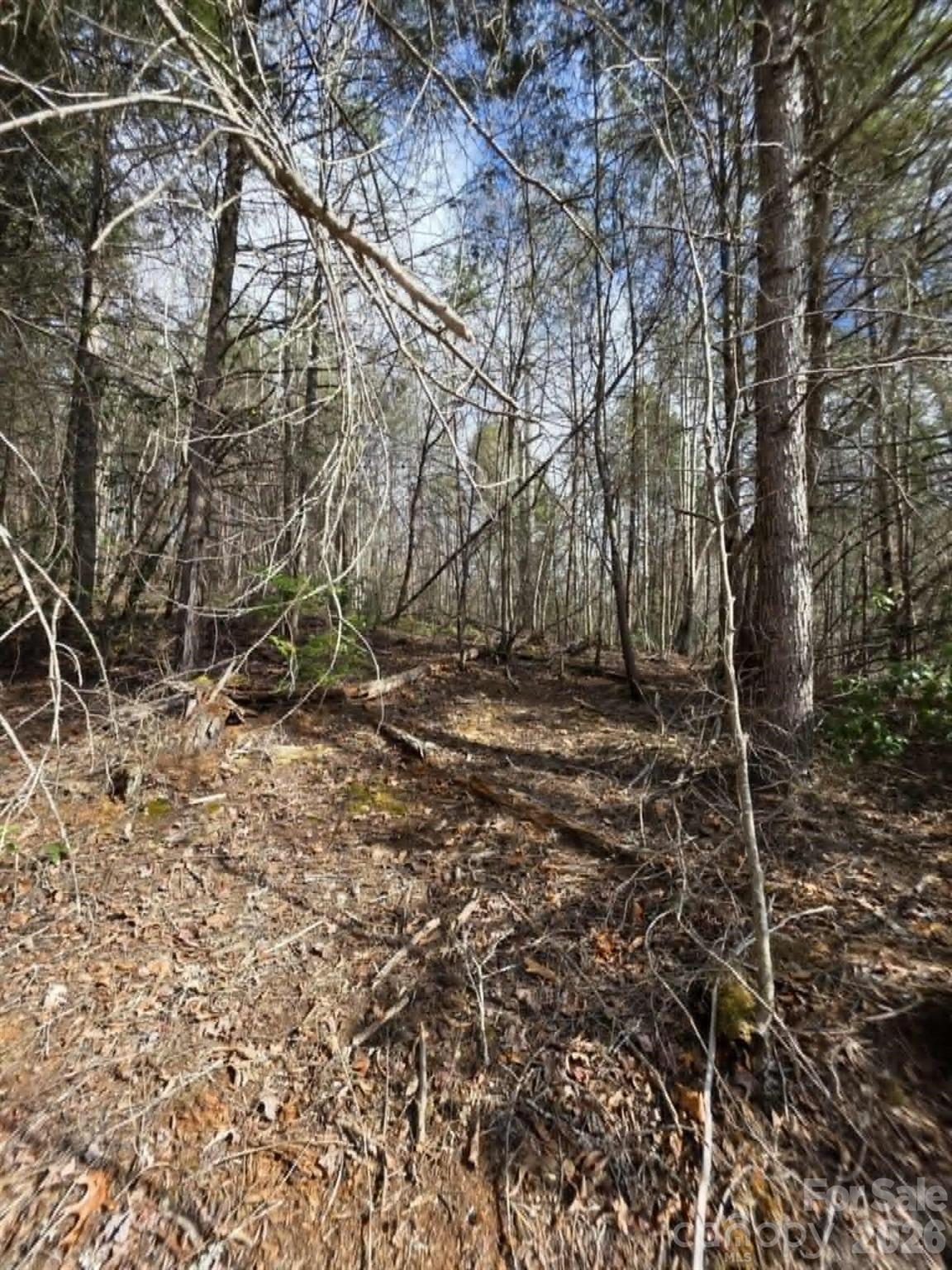 Lot 7 Kerlee Lane Property Photo 3