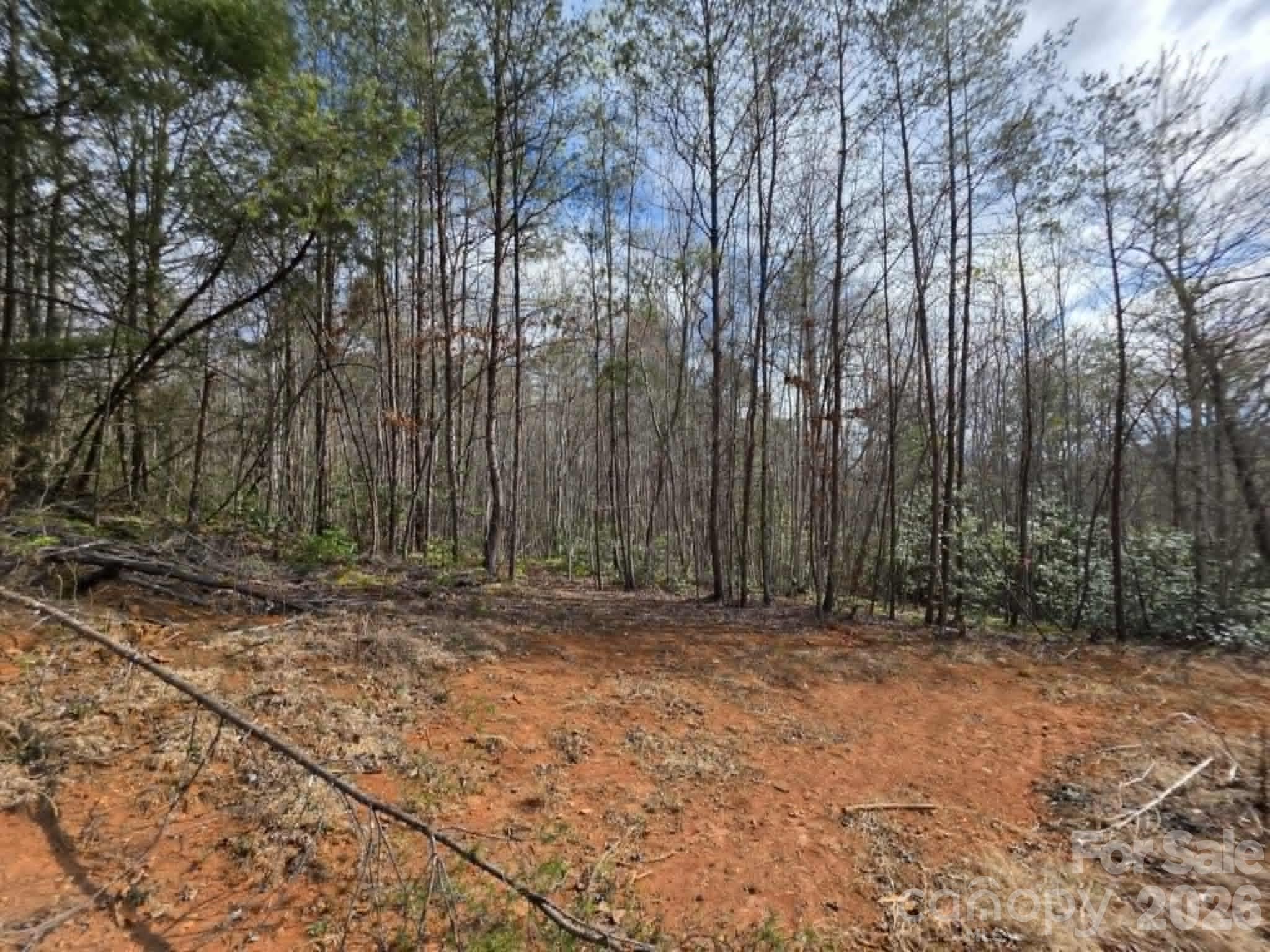 Lot 7 Kerlee Lane Property Photo 4
