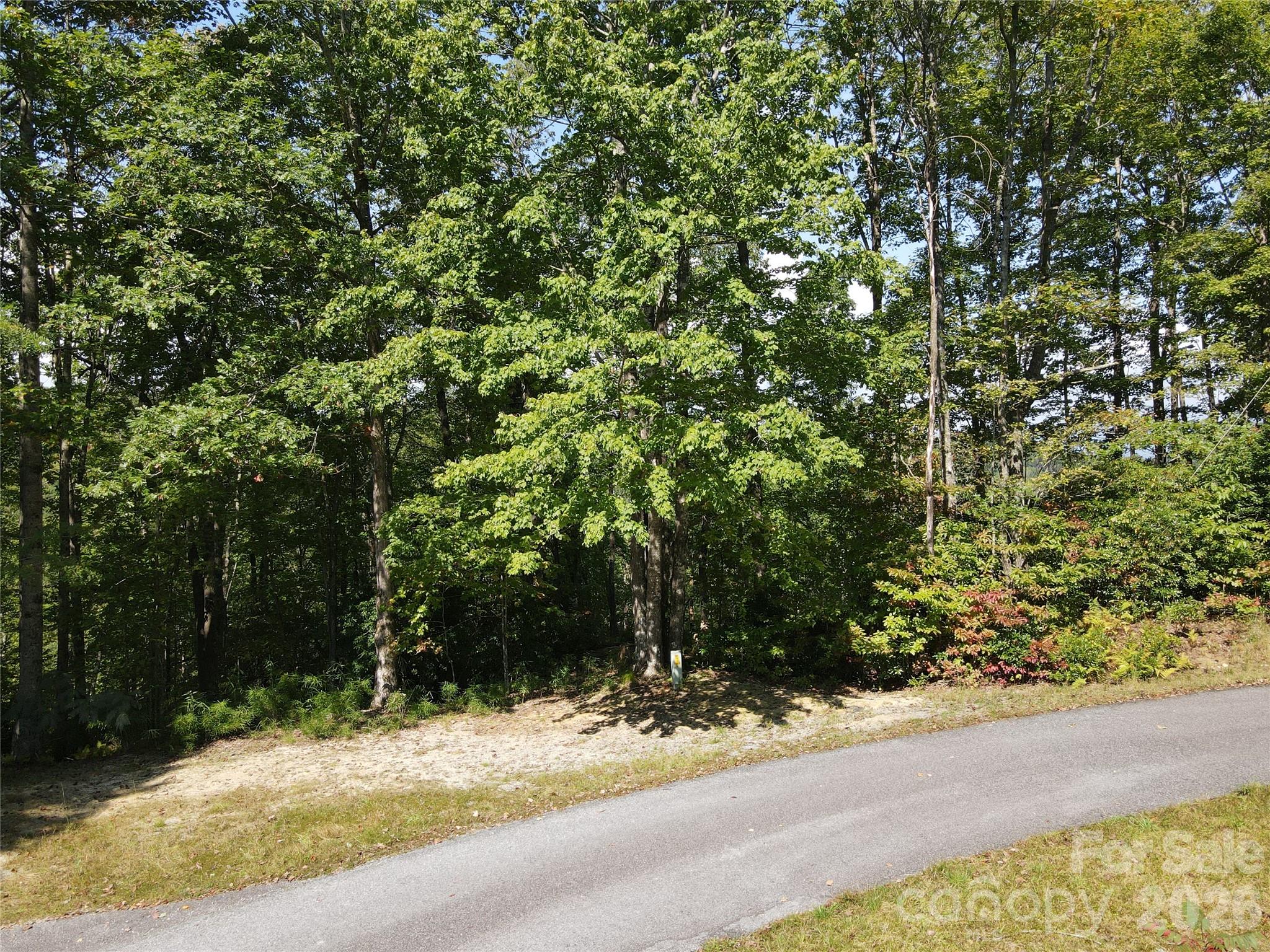 303 Ladd Ridge Property Photo 3