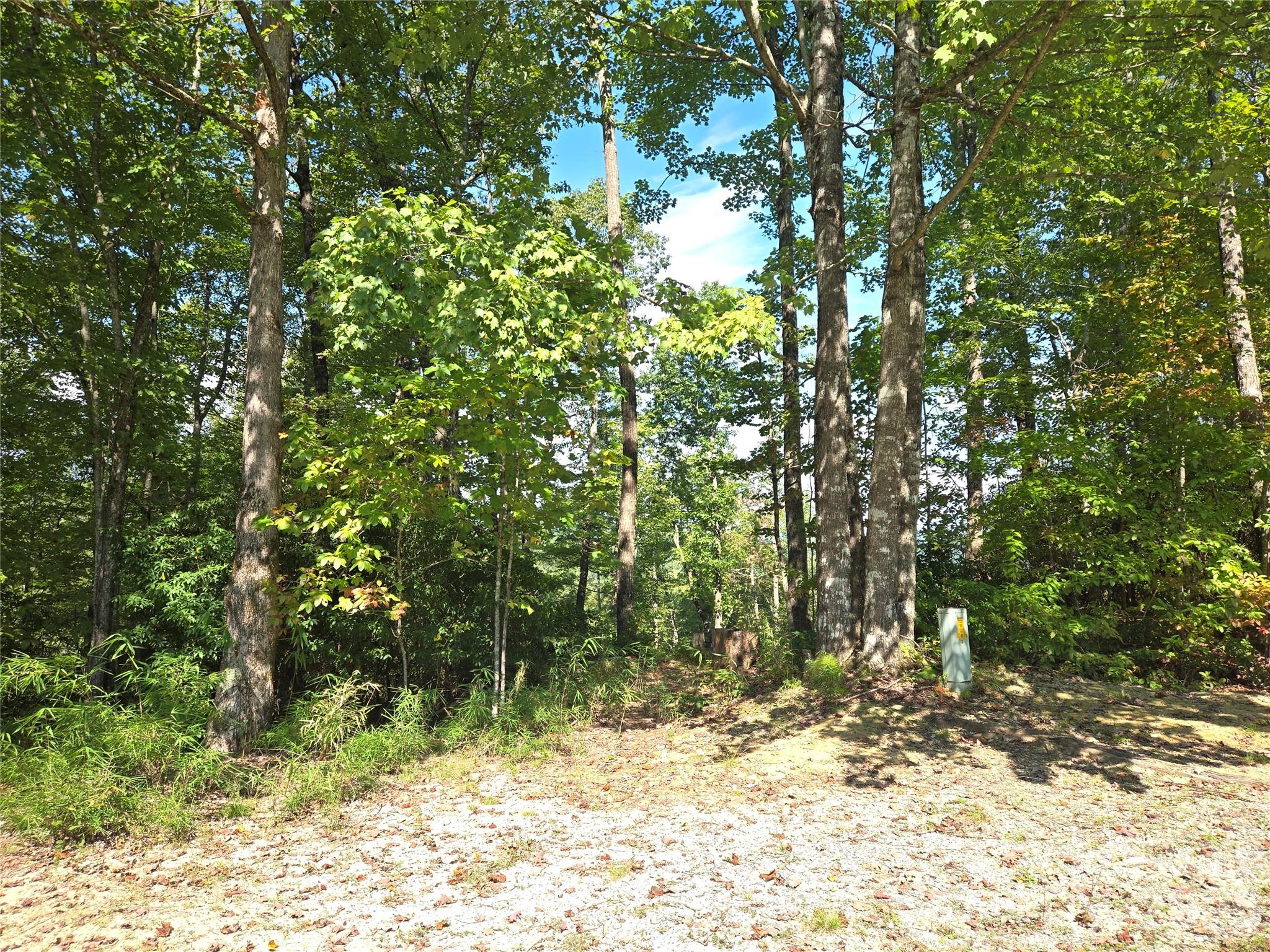 303 Ladd Ridge Property Photo 4
