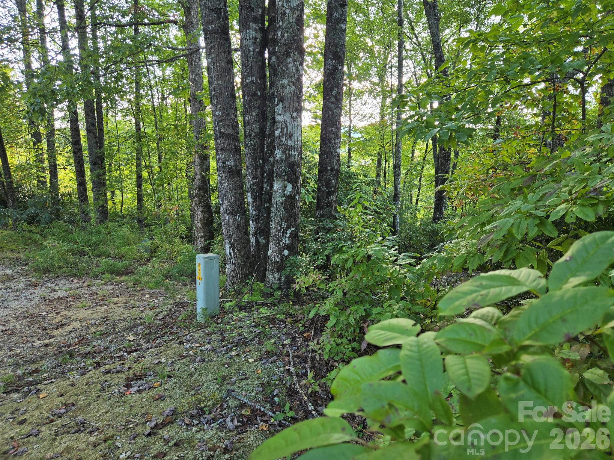 303 Ladd Ridge Property Photo 6
