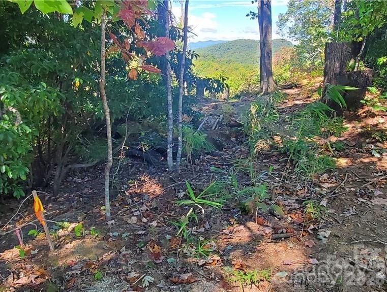 303 Ladd Ridge Property Photo 7