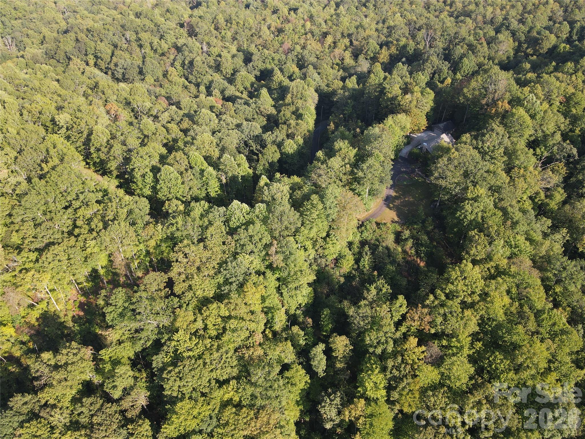 303 Ladd Ridge Property Photo 11
