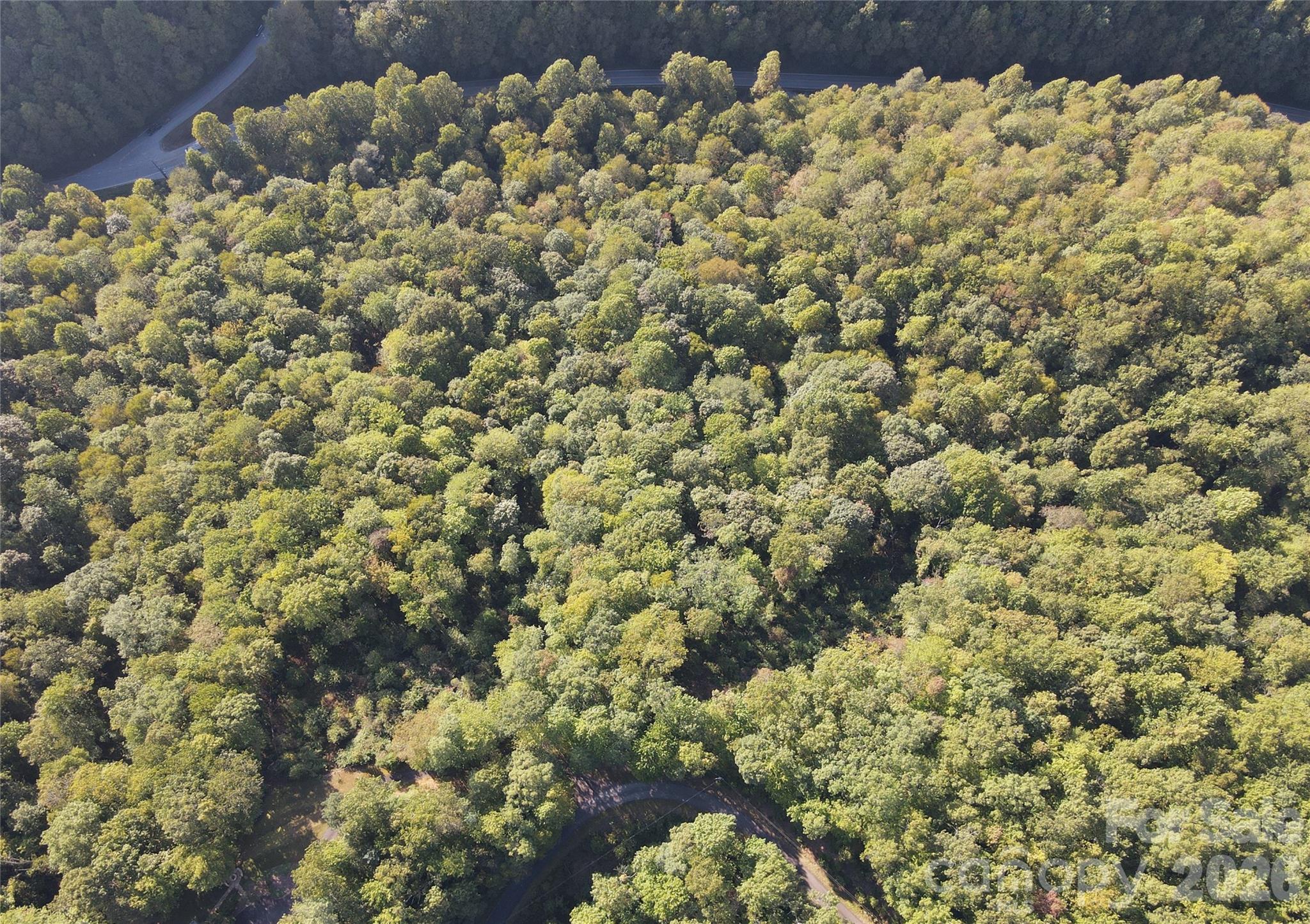 303 Ladd Ridge Property Photo 12