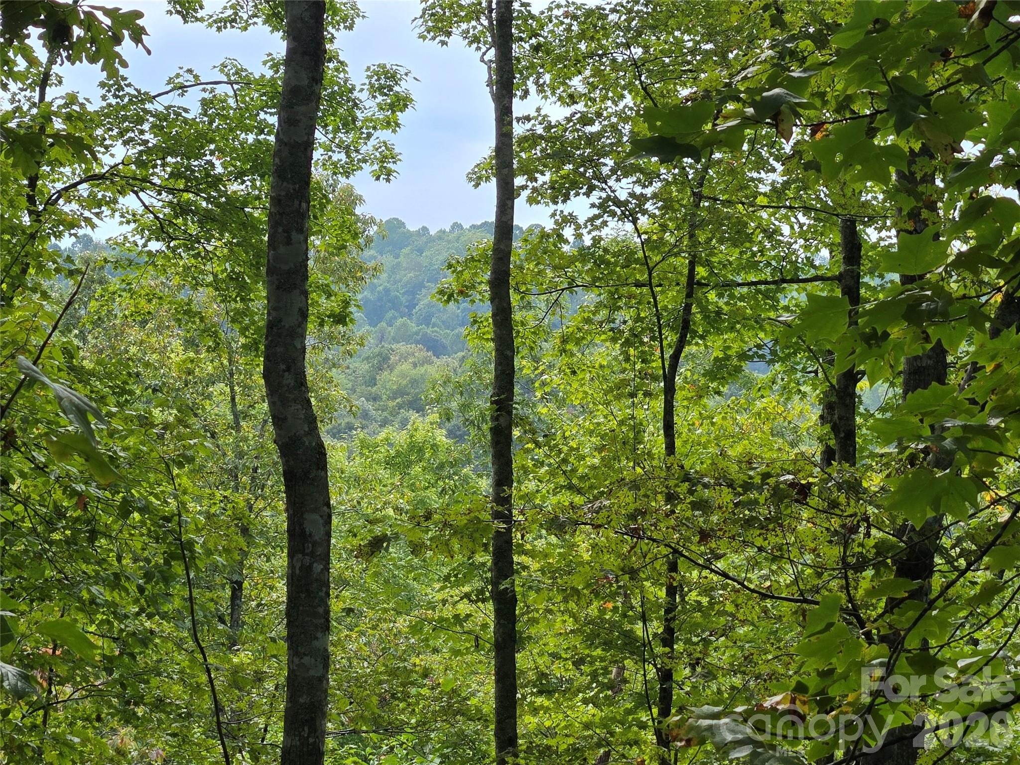 303 Ladd Ridge Property Photo 13