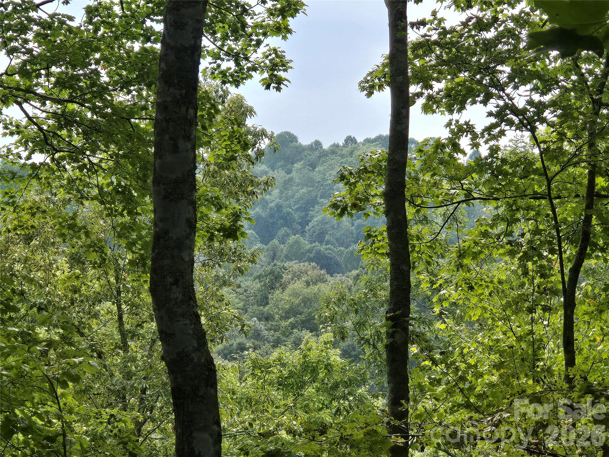 303 Ladd Ridge Property Photo 14